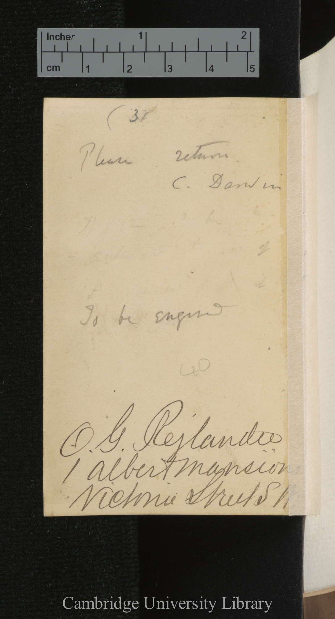 [verso of photograph - photographer signature (O G Rejlander)]; annotated by Charles Robert Darwin