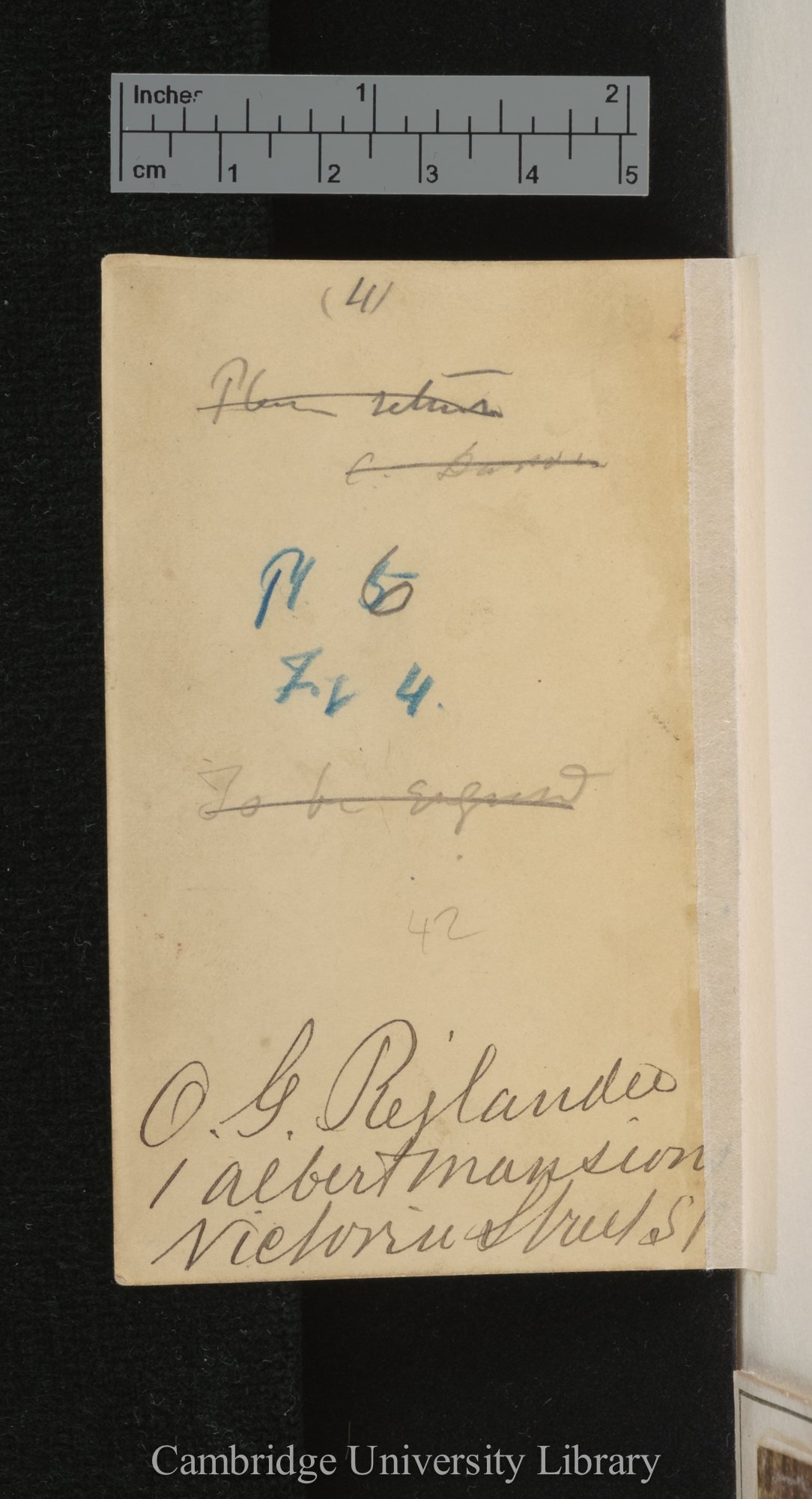 [verso of photograph - photographer signature (O G Rejlander)]; annotated by Charles Robert Darwin