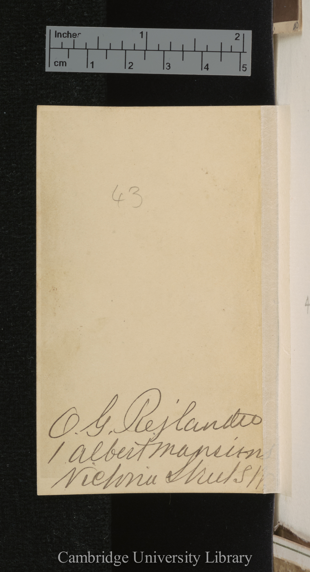 [verso of photograph - photographer signature (O G Rejlander)]