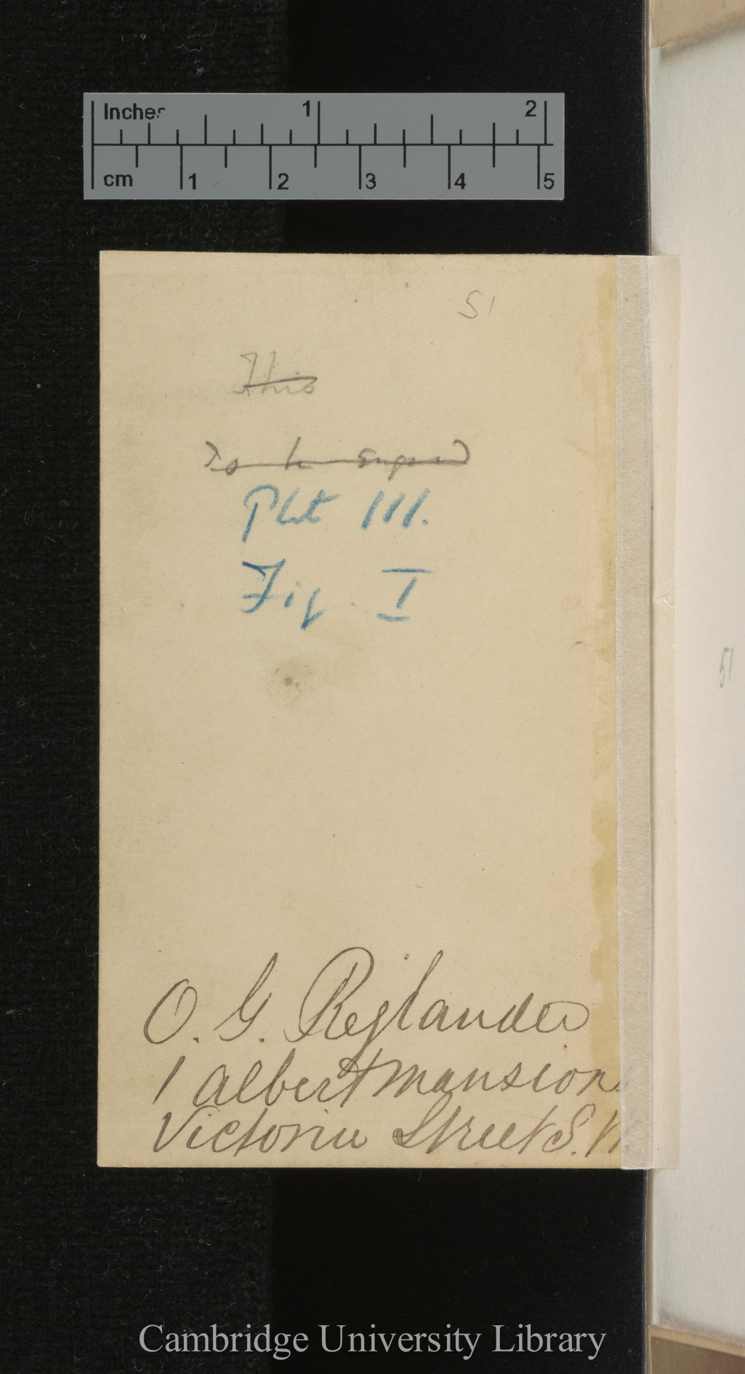 [verso of photograph - photographer signature (O G Rejlander)]; annotated by Charles Robert Darwin