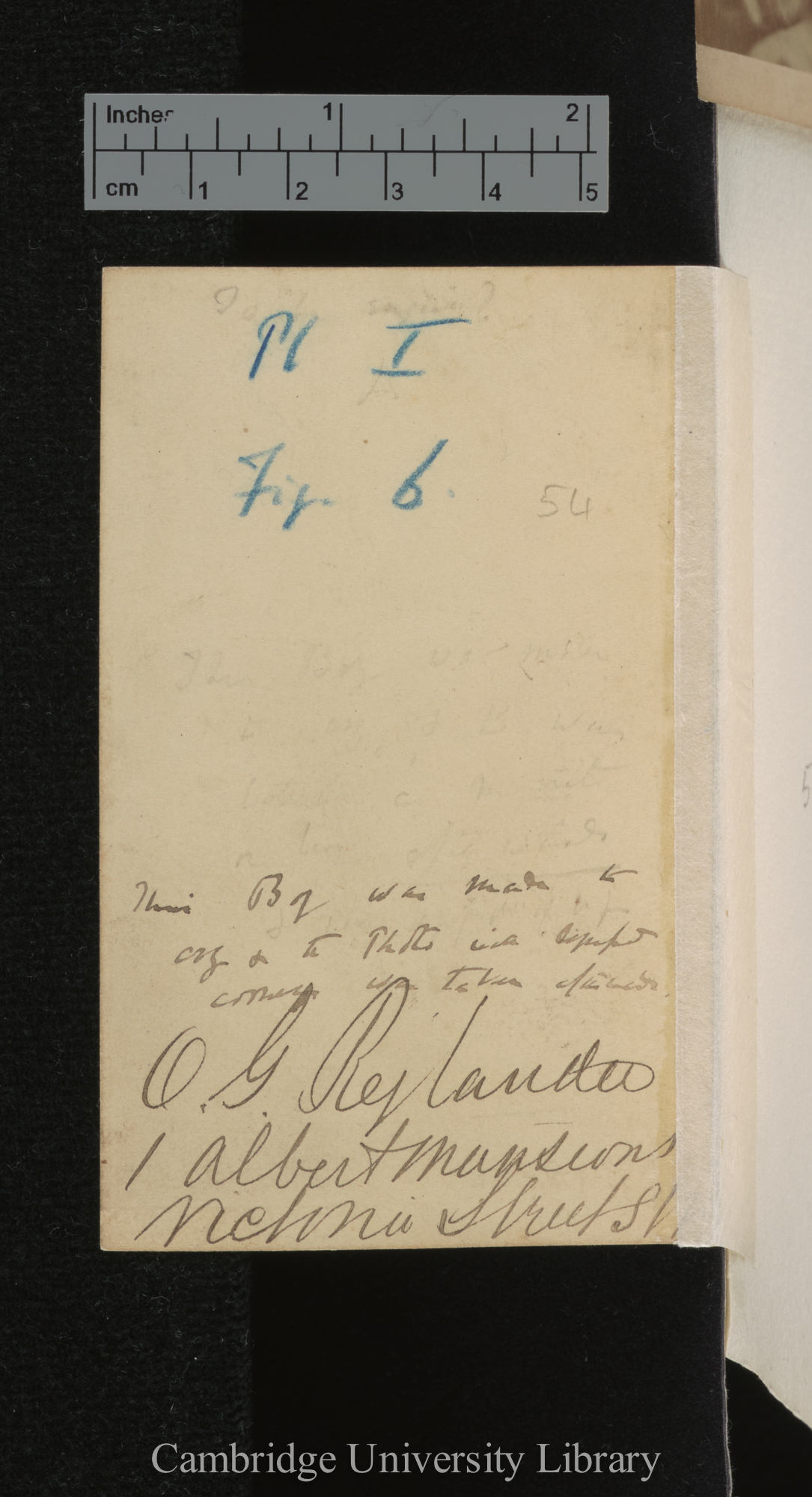 [verso of photograph - photographer signature (O G Rejlander)]; annotated by Charles Robert Darwin