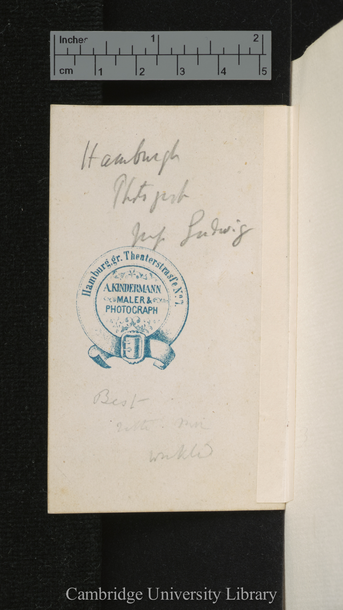 [verso of photograph - photographer imprint (A Kindermann)]; annotated by Charles Robert Darwin