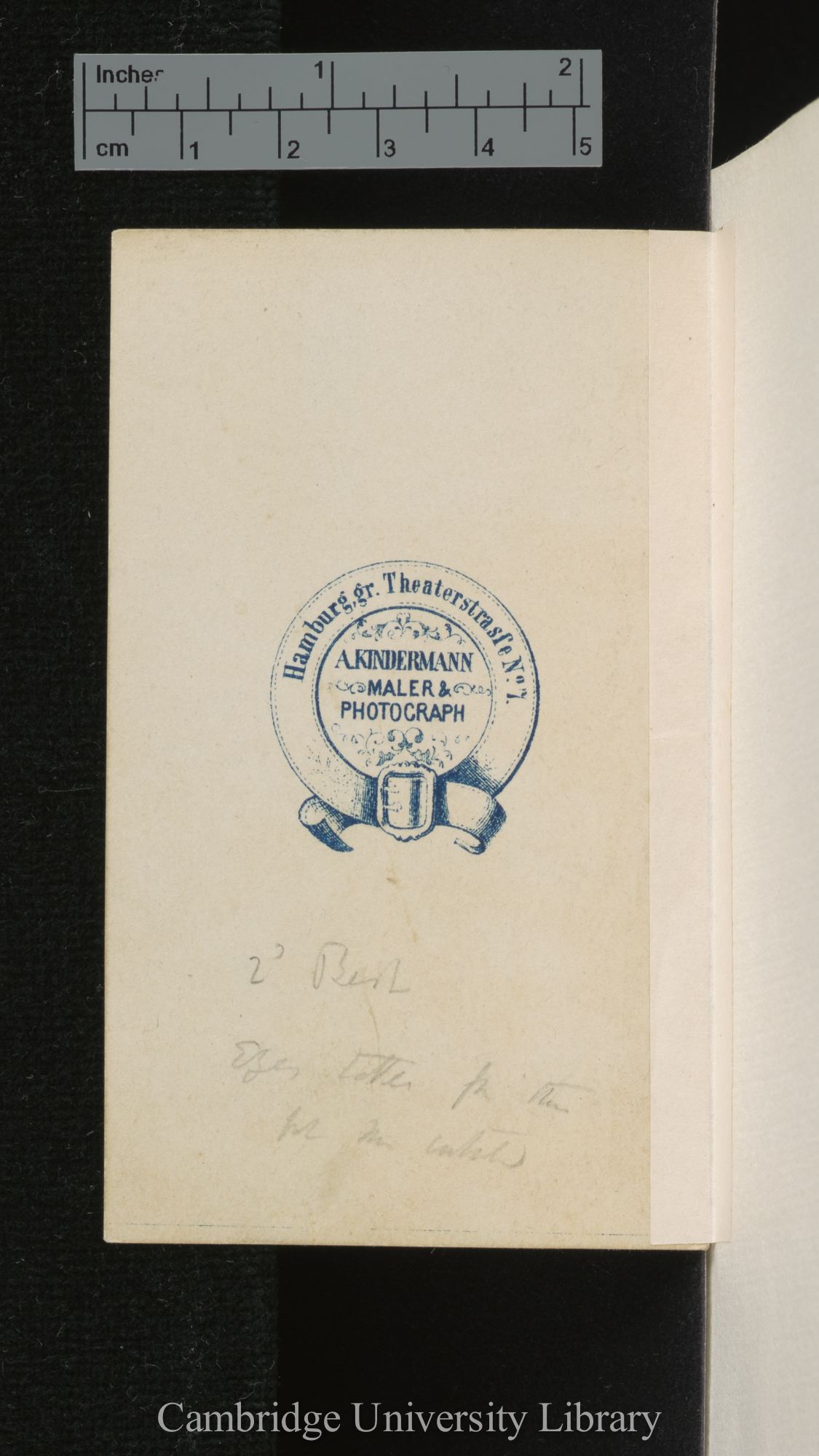 [verso of photograph - photographer imprint (A Kindermann)]; annotated by Charles Robert Darwin