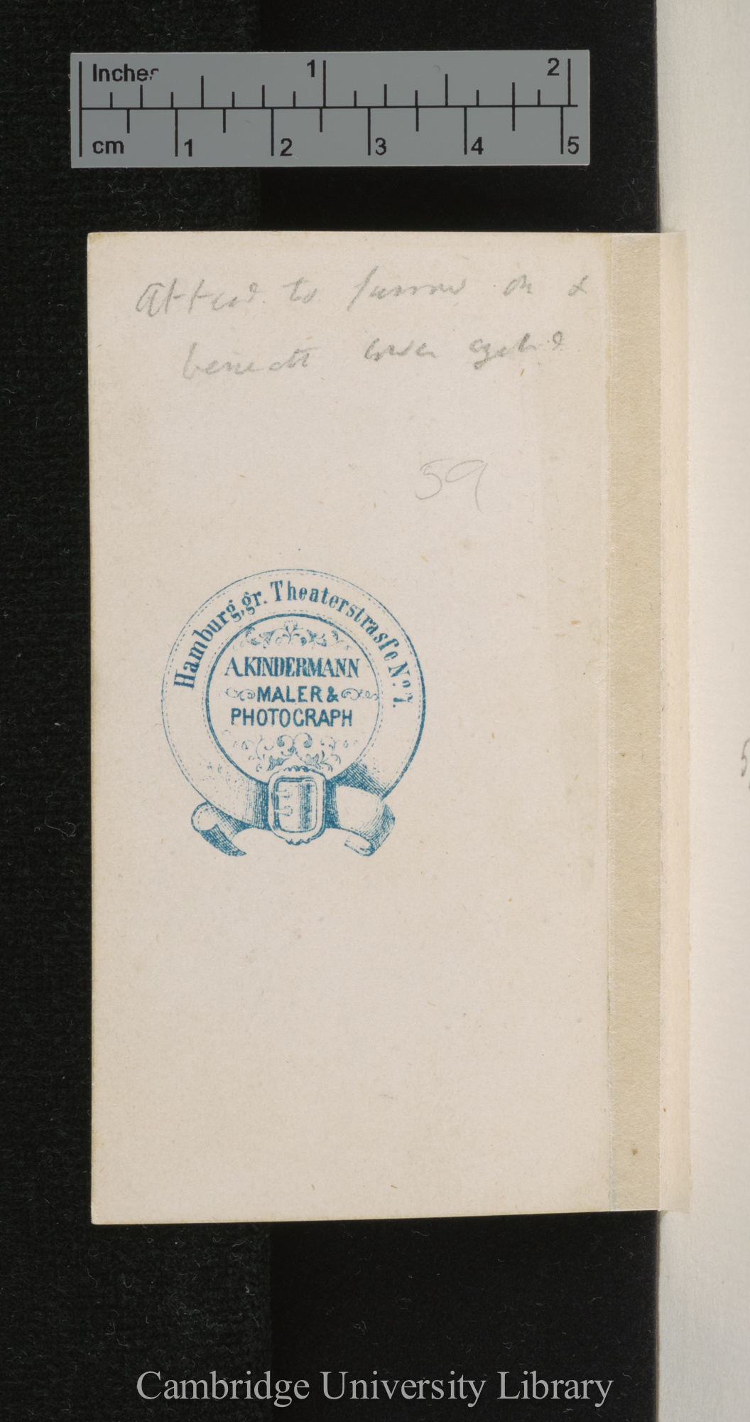 [verso of photograph - photographer imprint (A Kindermann)]; annotated by Charles Robert Darwin