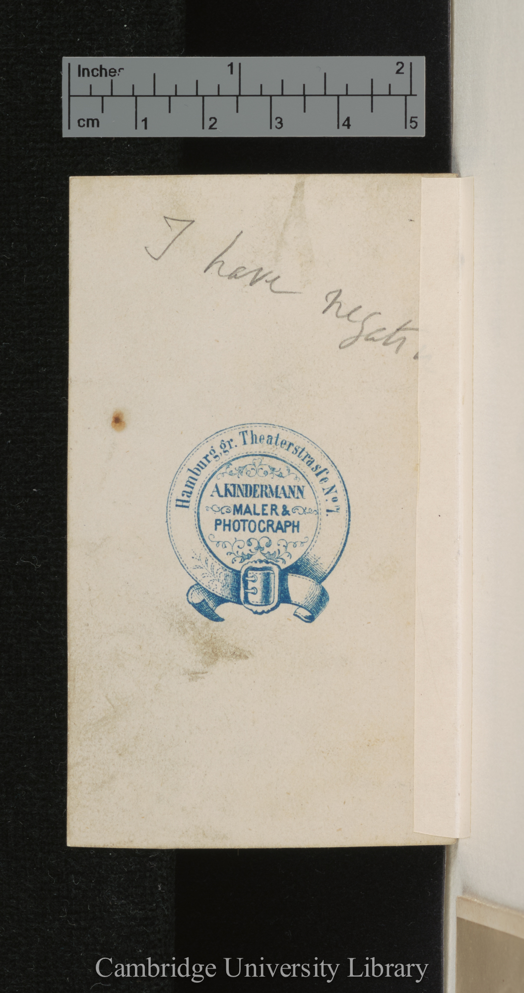 [verso of photograph - photographer imprint (A Kindermann)]; annotated by Charles Robert Darwin