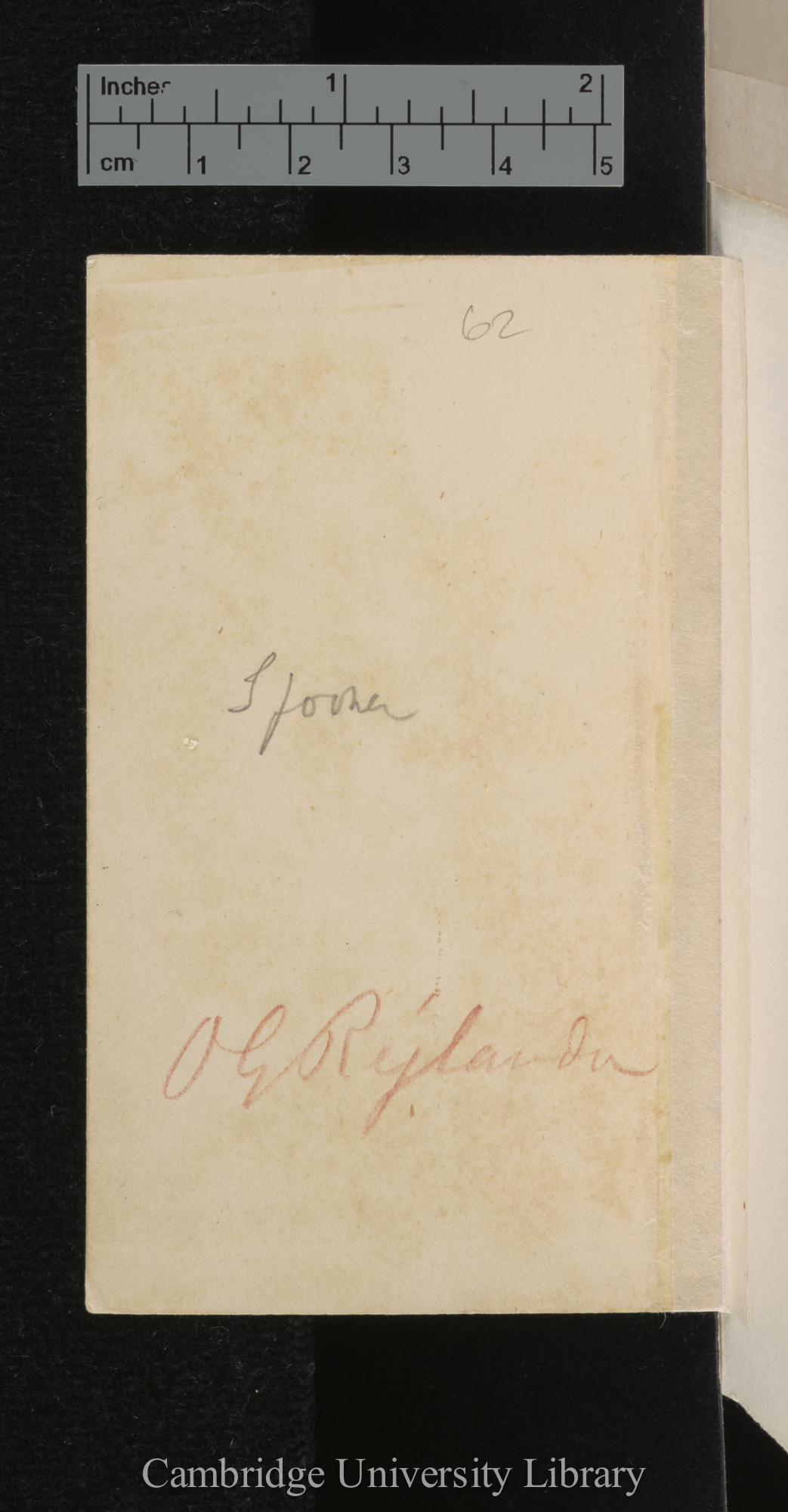 [verso of photograph - photographer signature (O G Rejlander)]; annotated by Charles Robert Darwin