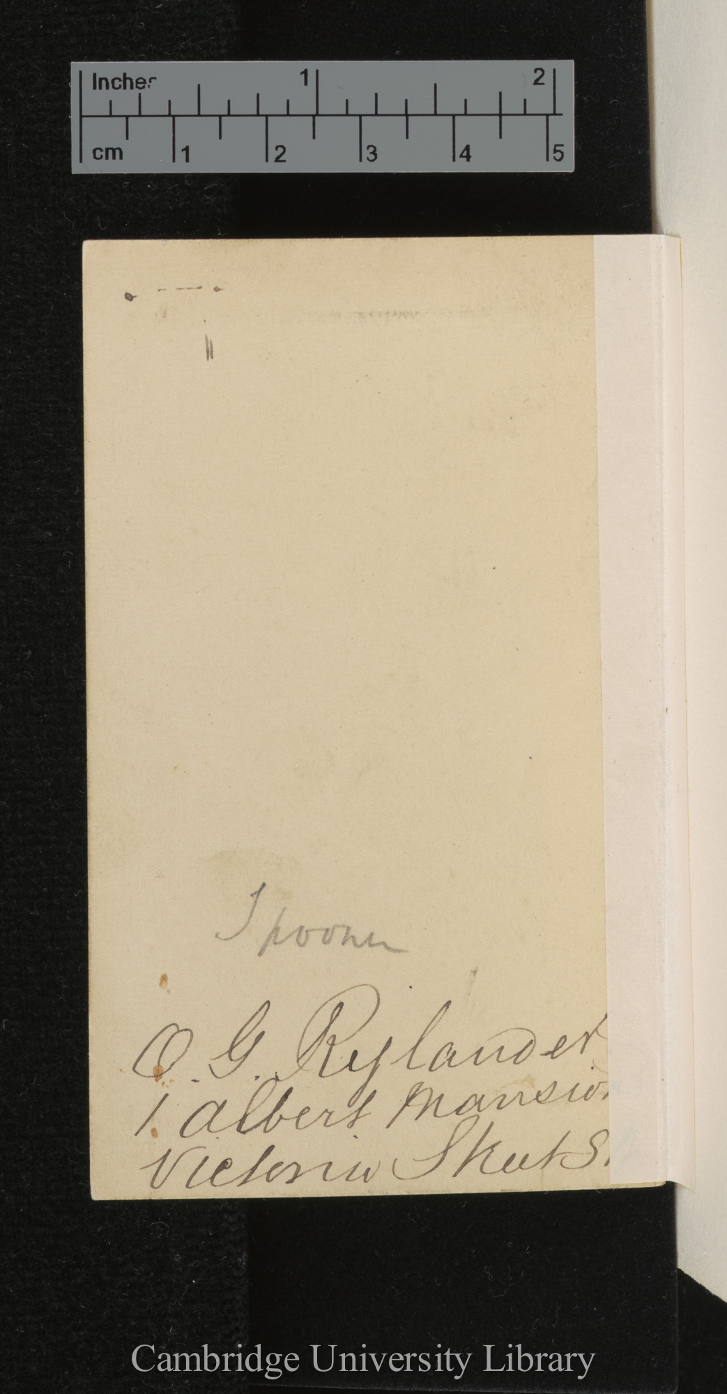 [verso of photograph]; annotated by Charles Robert Darwin