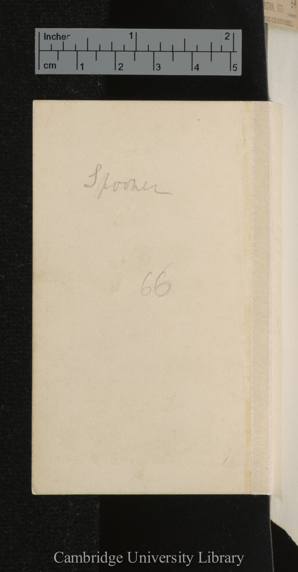 [verso of photograph - photographer signature (O G Rejlander)]; annotated by Charles Robert Darwin