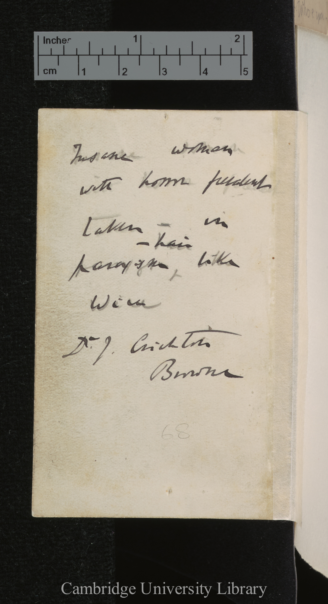 [verso of photograph]; annotated by Charles Robert Darwin