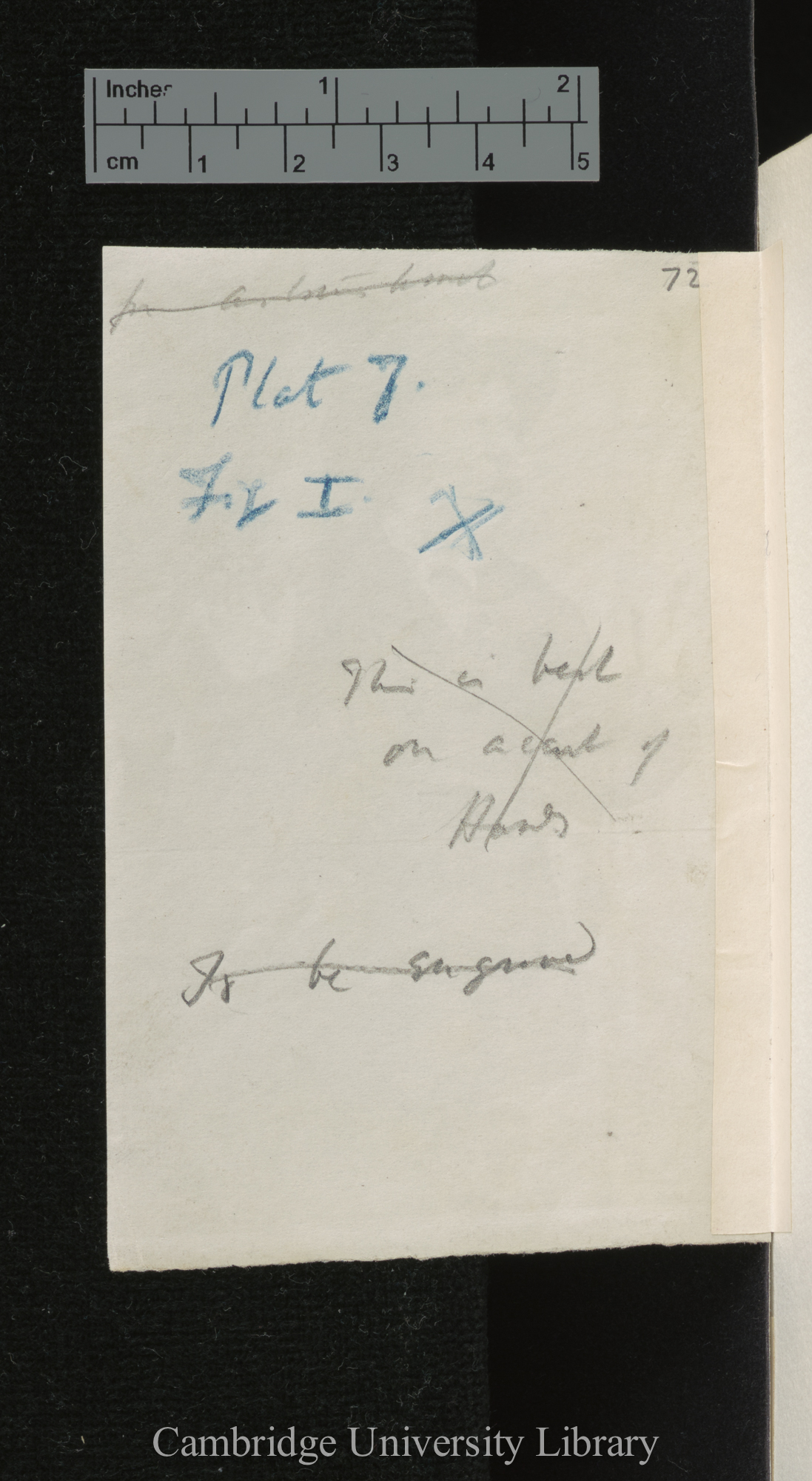 [verso of photograph]; annotated by Charles Robert Darwin