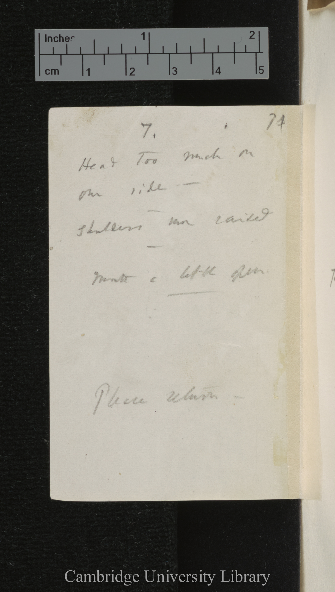 [verso of photograph]; annotated by Charles Robert Darwin