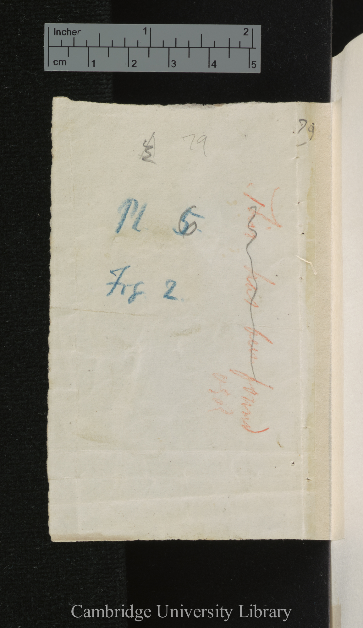 [verso of photograph]; annotated by Charles Robert Darwin