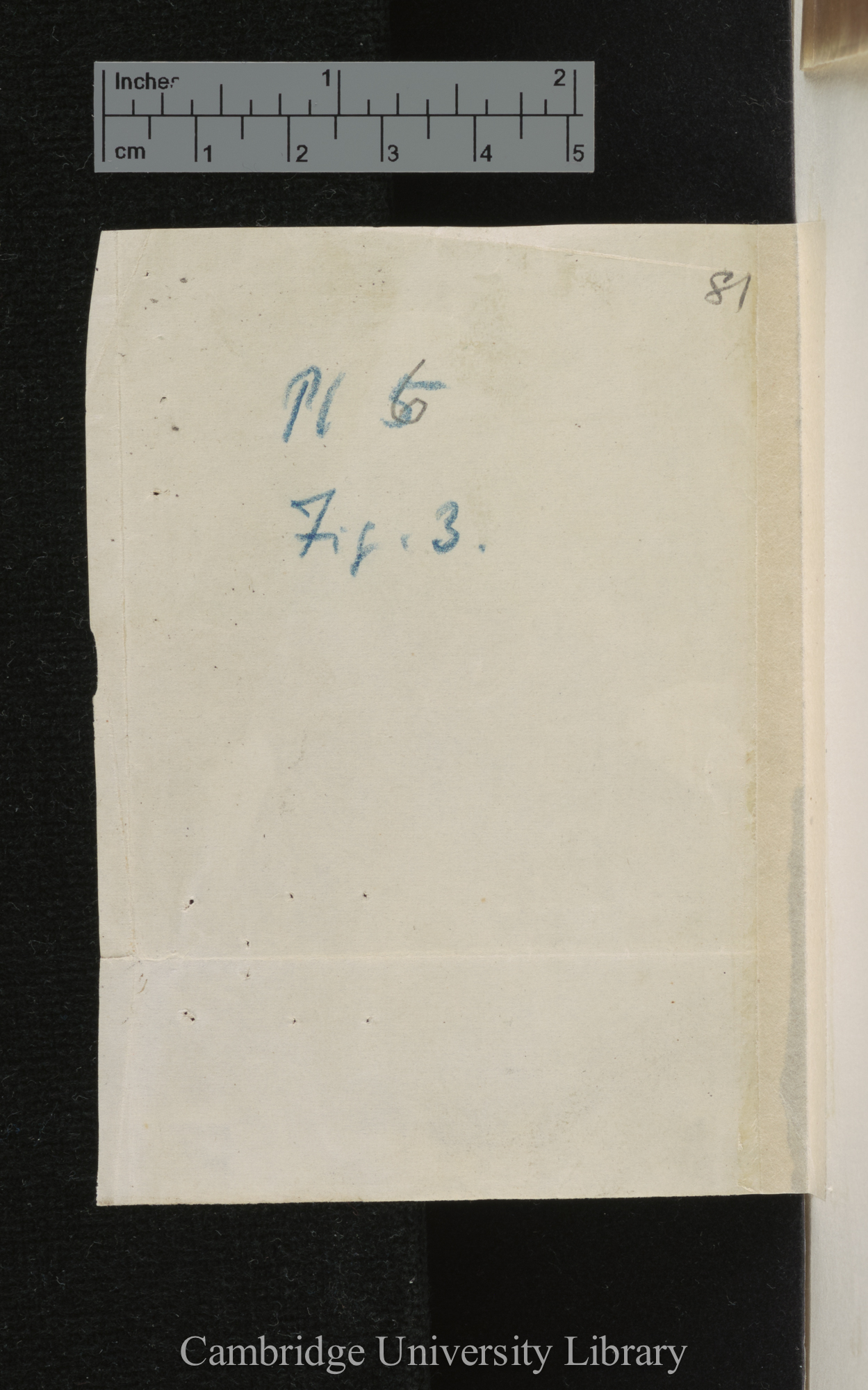 [verso of photograph]; annotated by Charles Robert Darwin