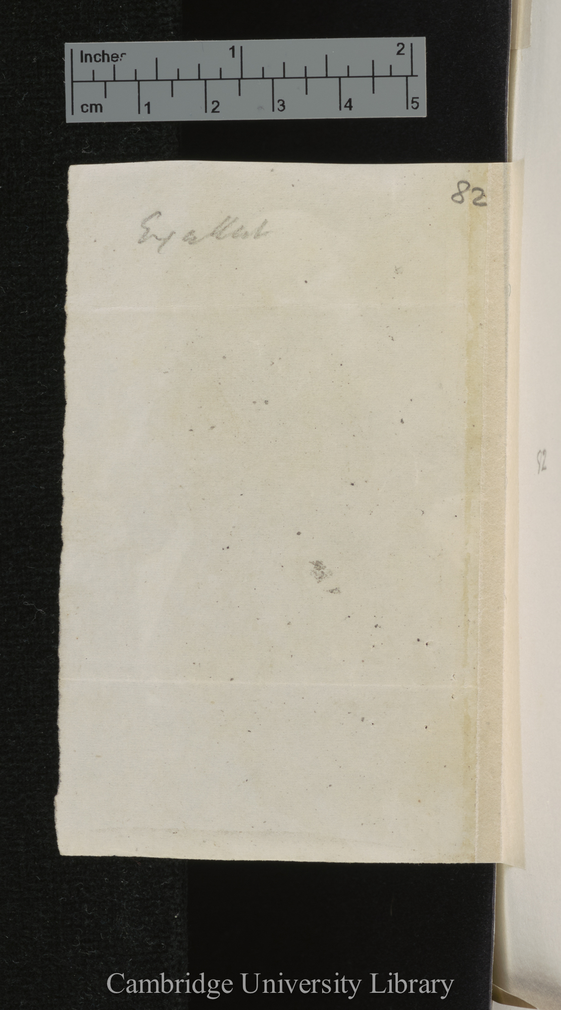 [verso of photograph]; annotated by Charles Robert Darwin