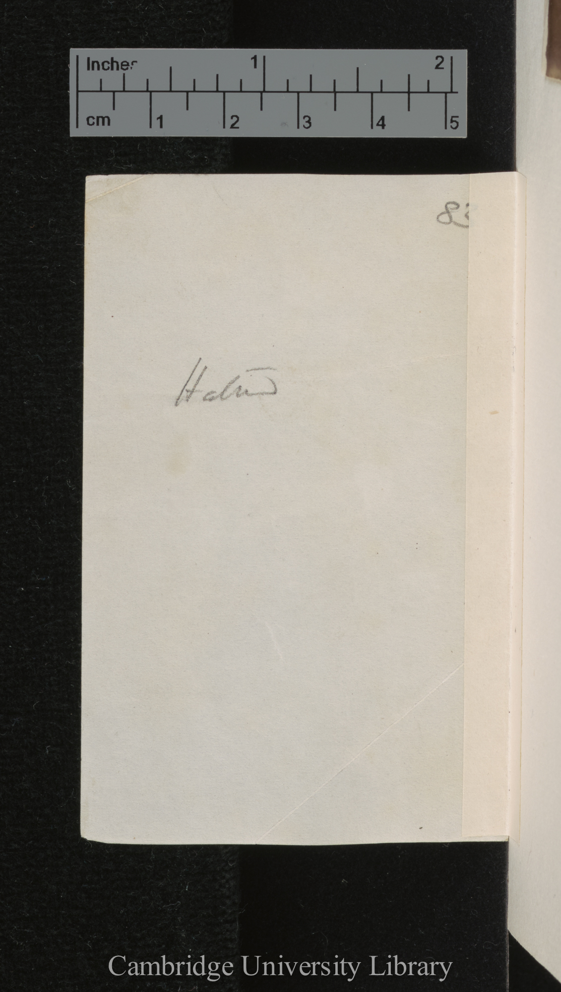 [verso of photograph]; annotated by Charles Robert Darwin