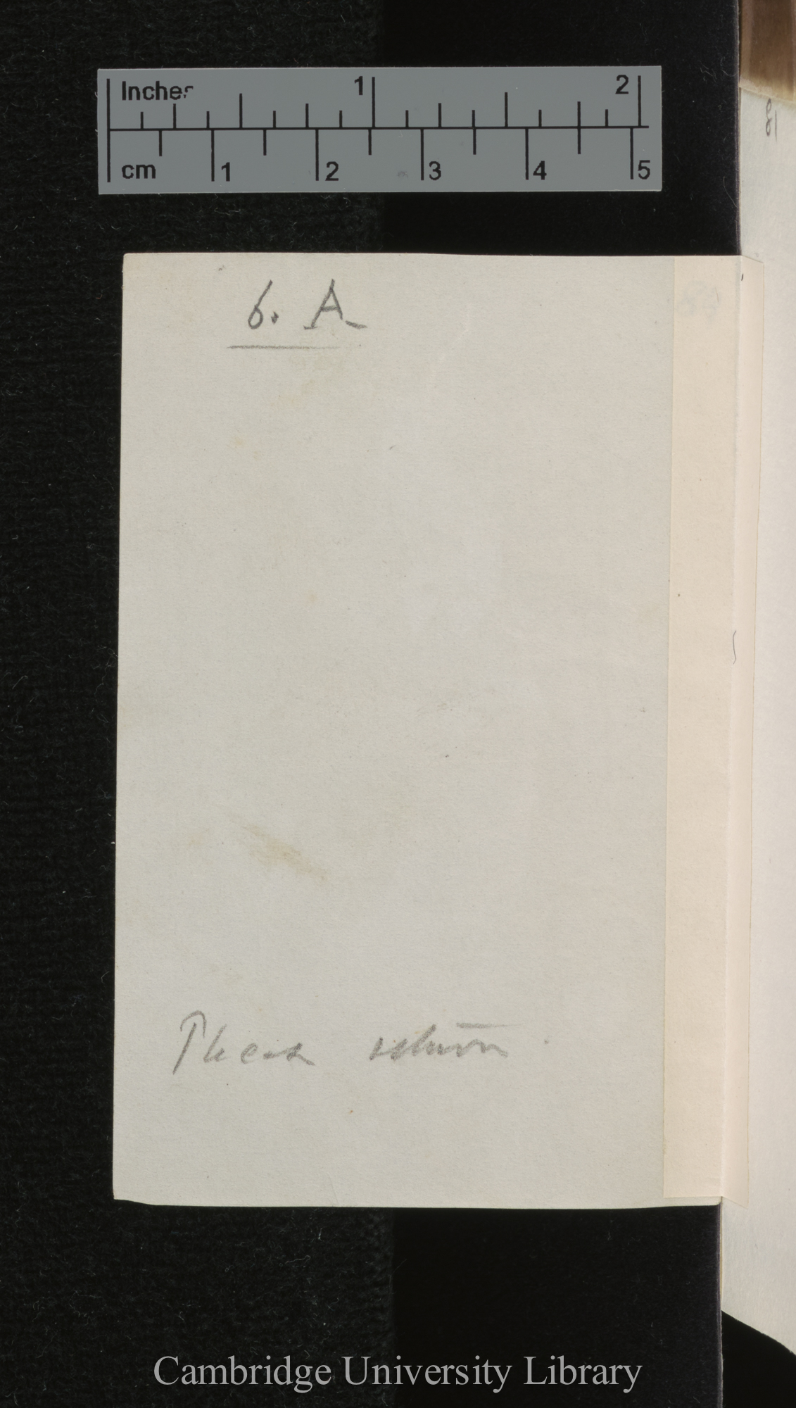 [verso of photograph]; annotated by Charles Robert Darwin