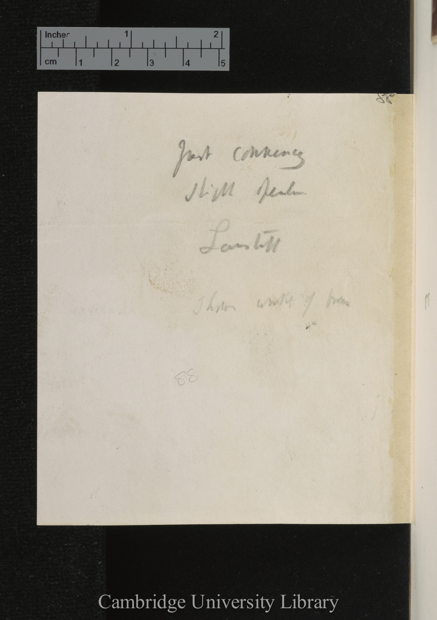 [verso of photograph]; annotated by Charles Robert Darwin