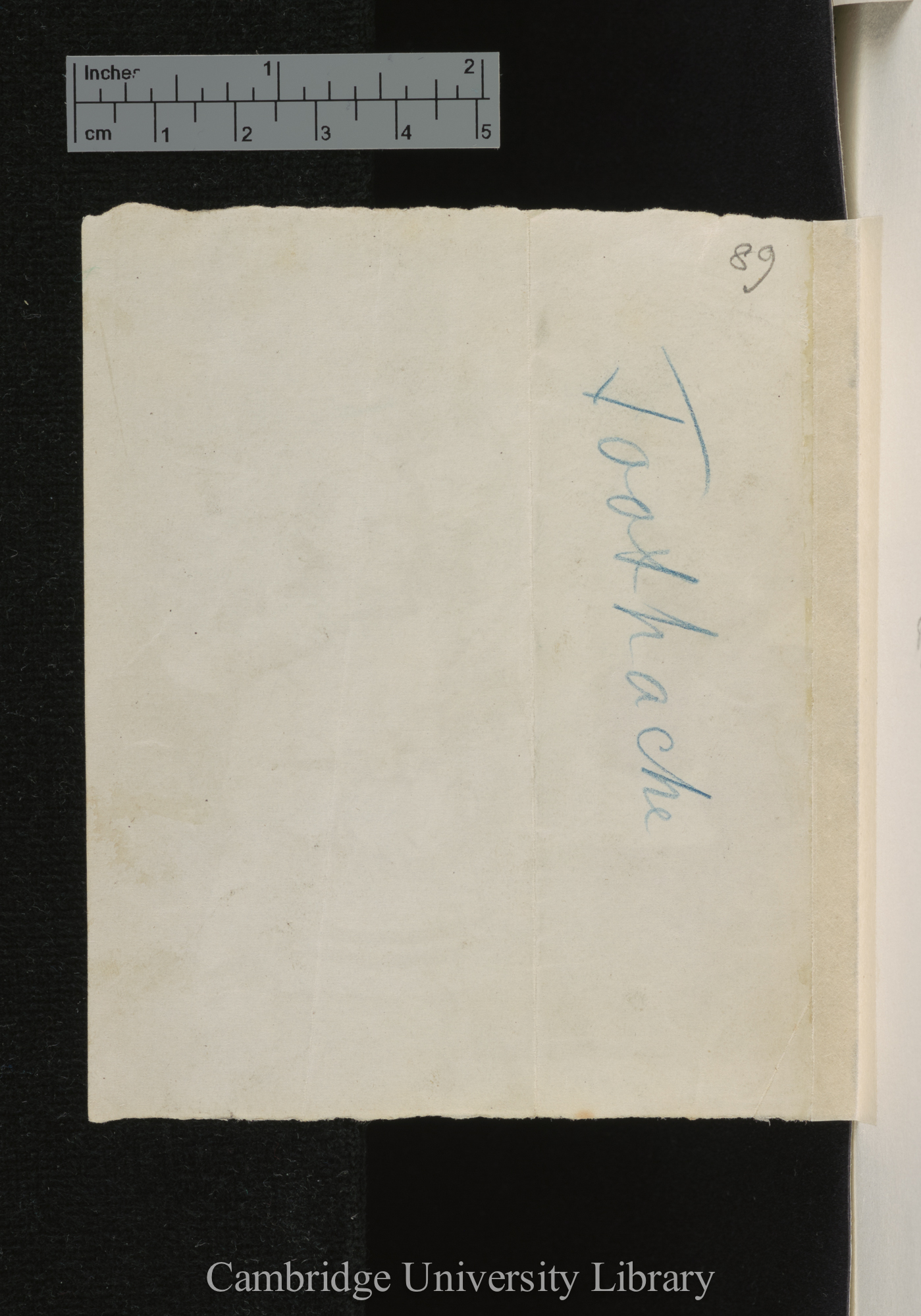 [verso of photograph]; annotated by (?)