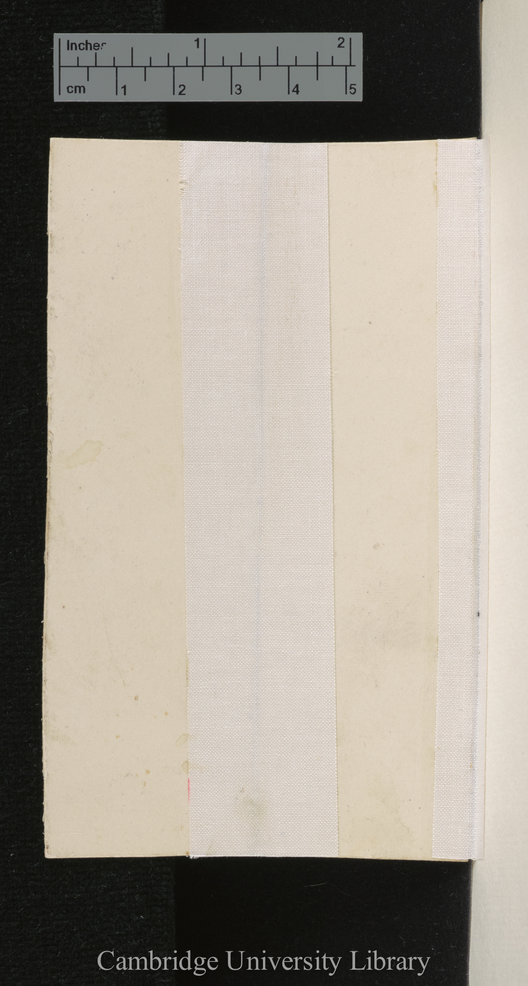 [verso of mounted photographs - blank]