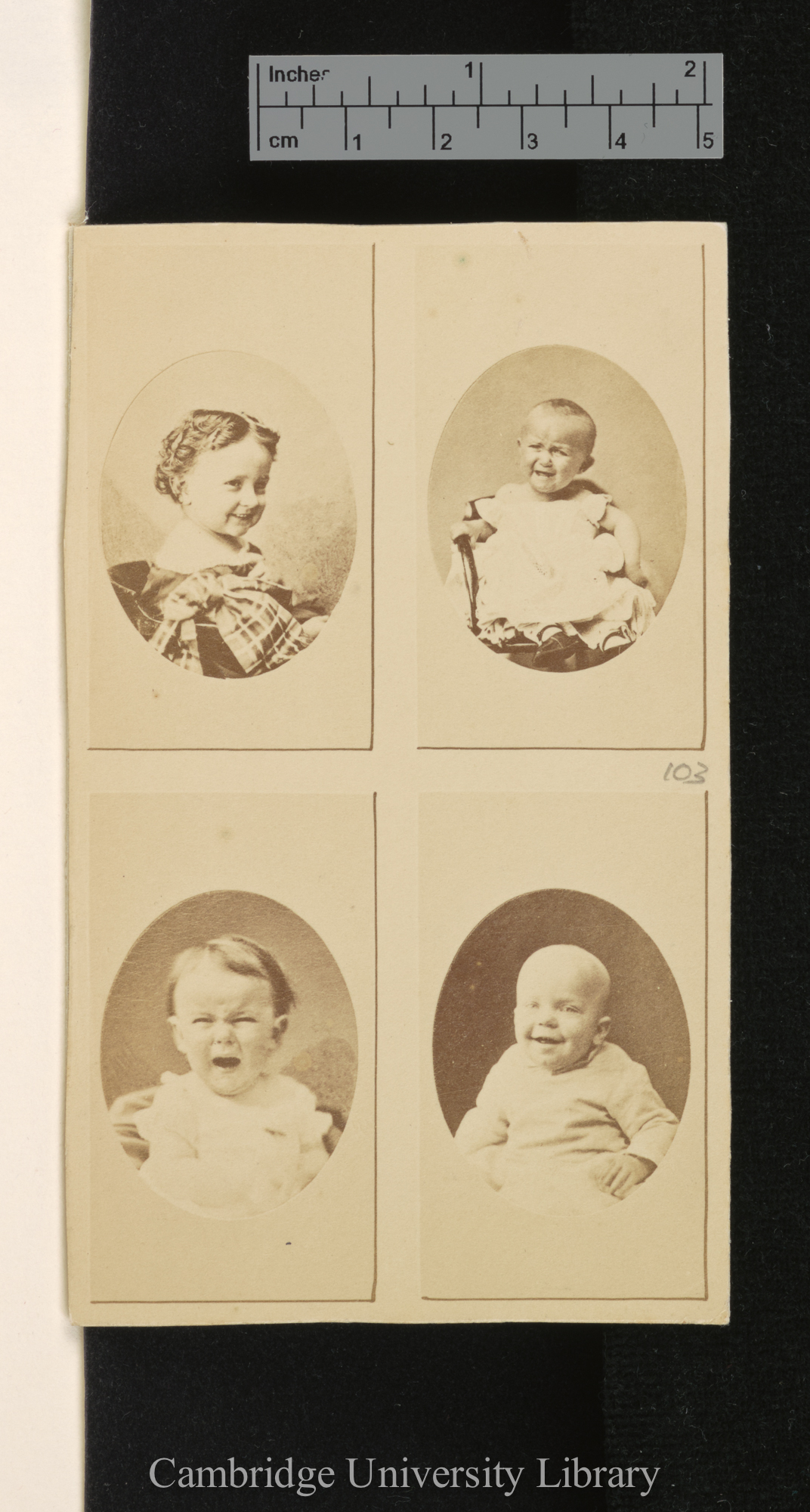 Photo of [unidentified infants and dog]