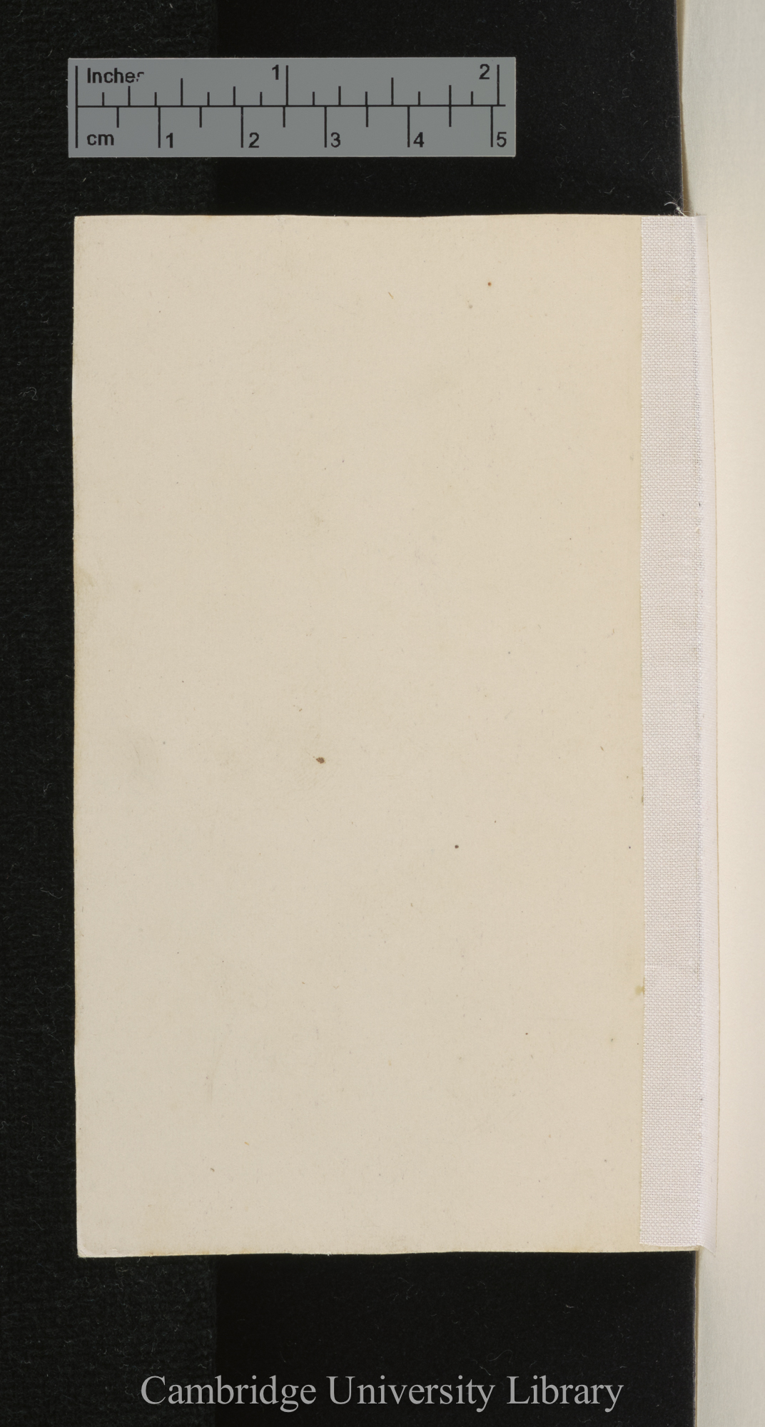 [verso of mounted photographs - blank]