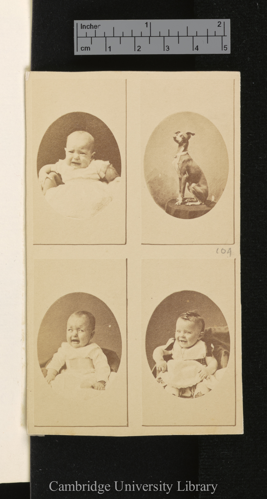 Photo of [unidentified infants and dog]