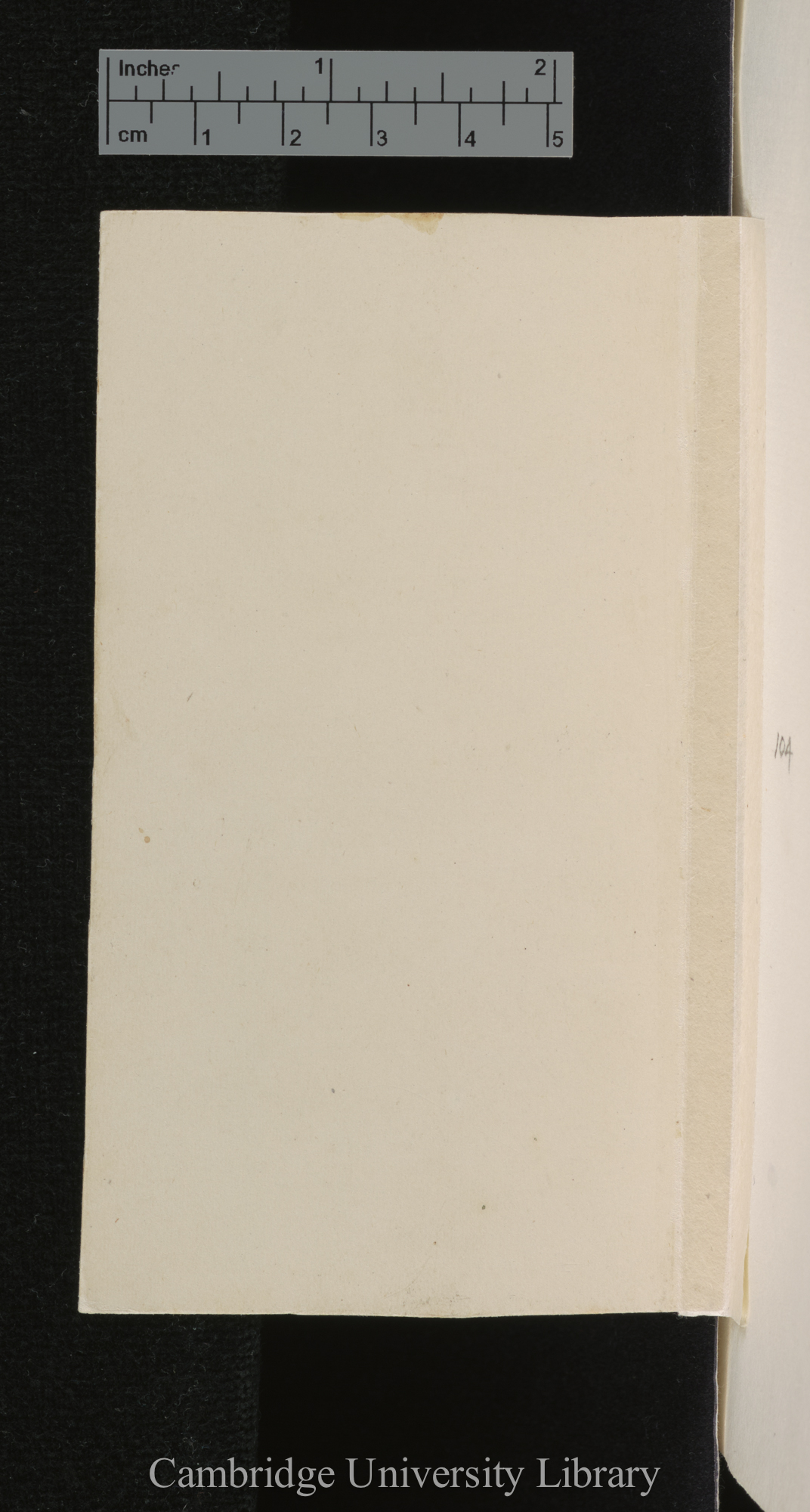 [verso of mounted photographs - blank]