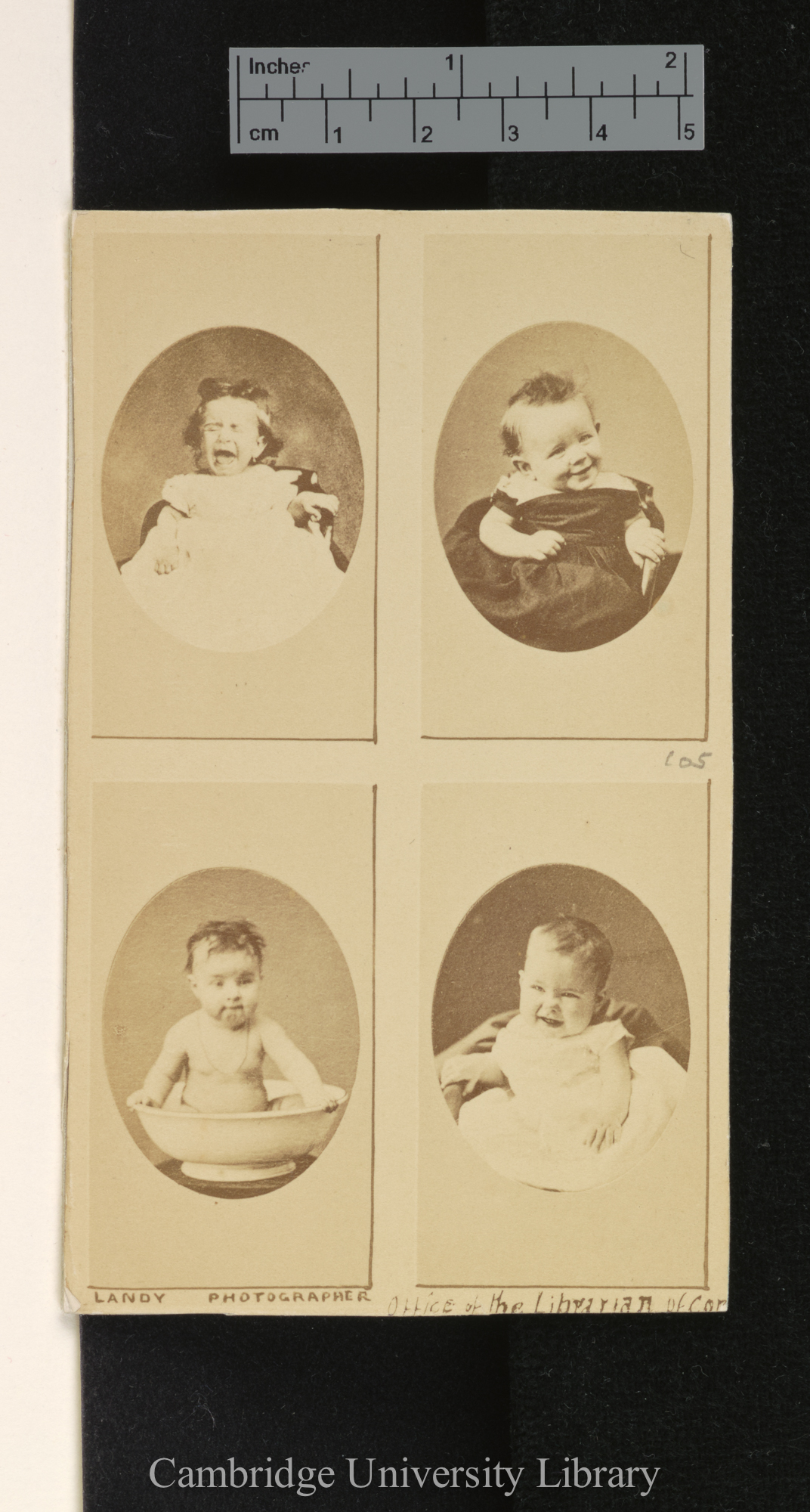 Photo of [unidentified infants and dog]