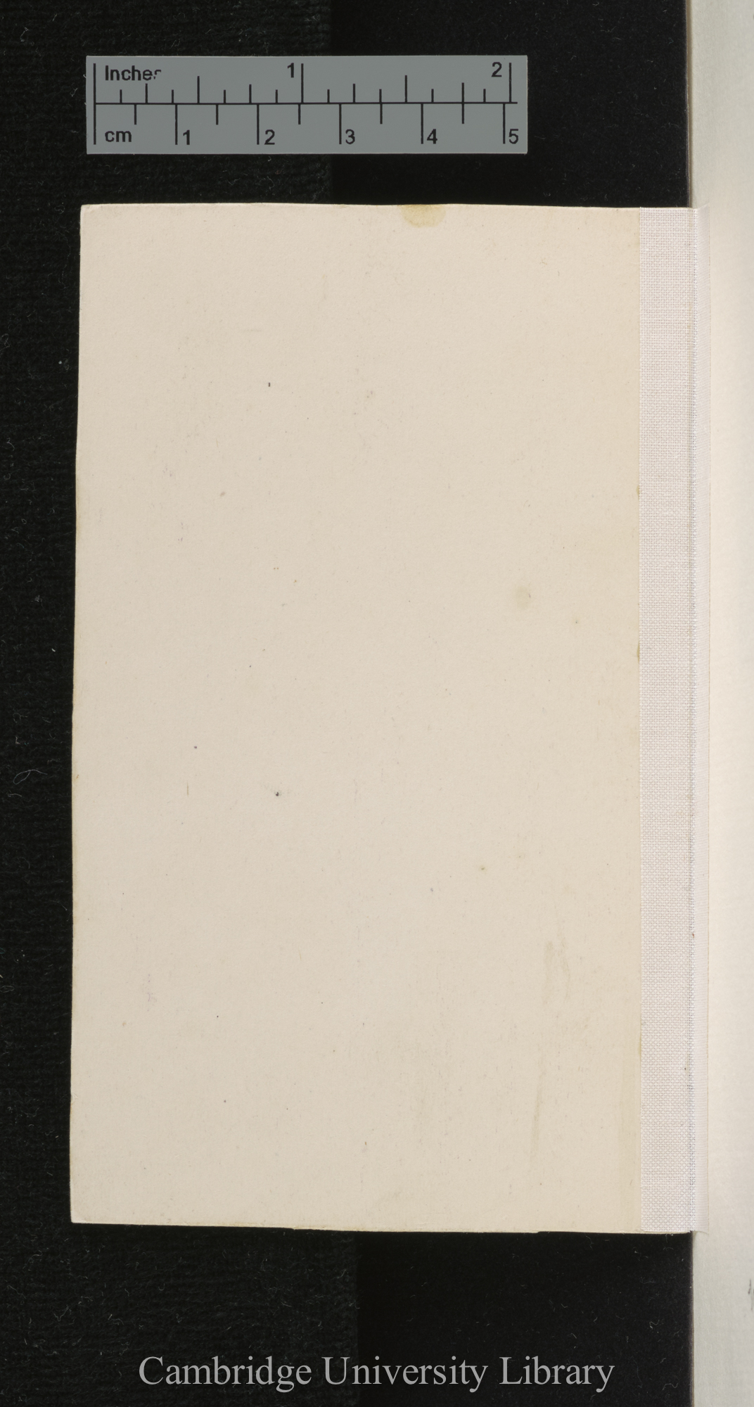 [verso of mounted photographs - blank]