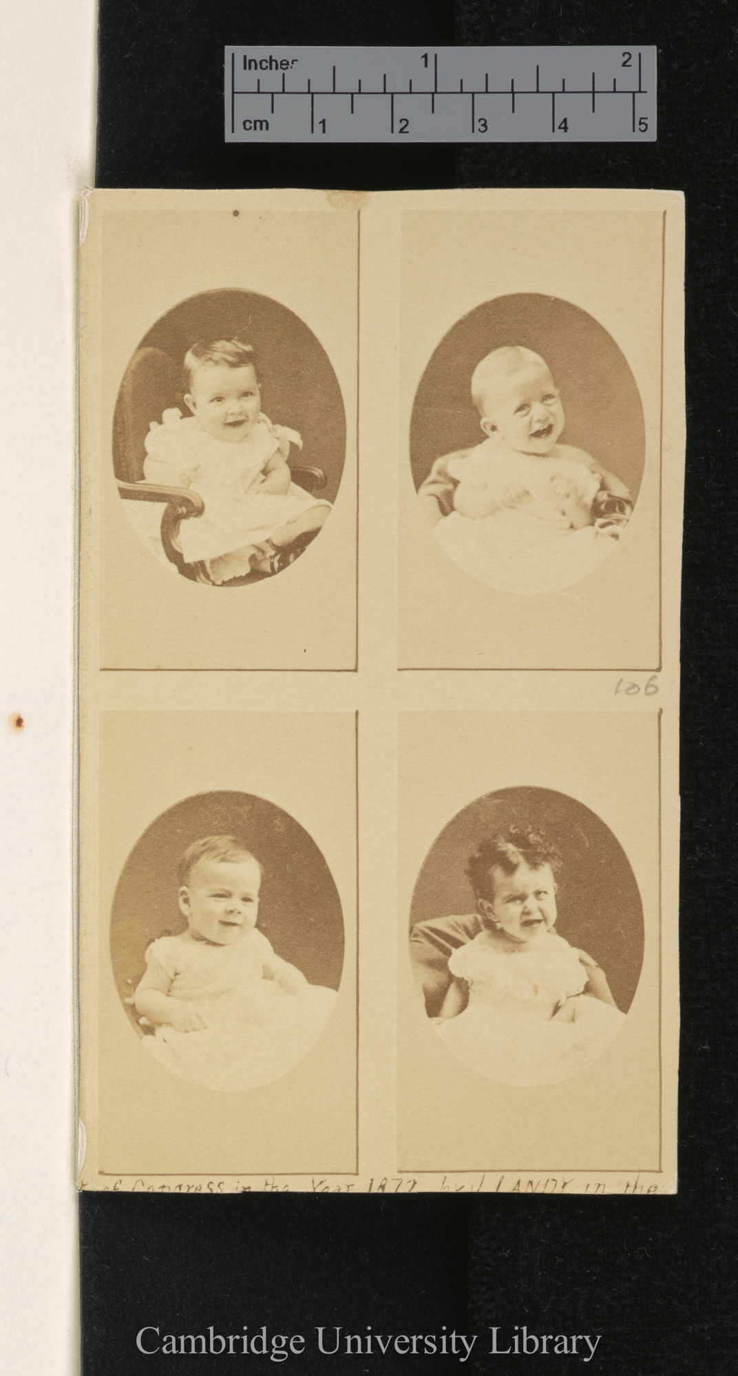 Photo of [unidentified infants and dog]