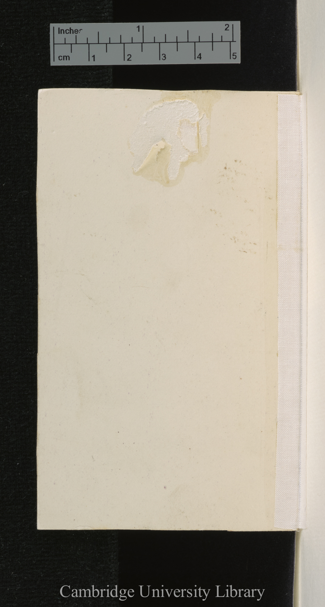 [verso of mounted photographs - blank]