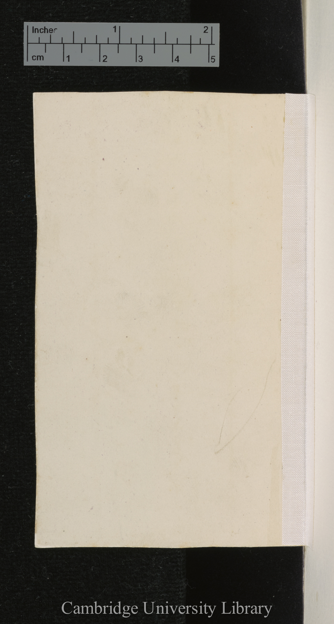 [verso of mounted photographs - blank]