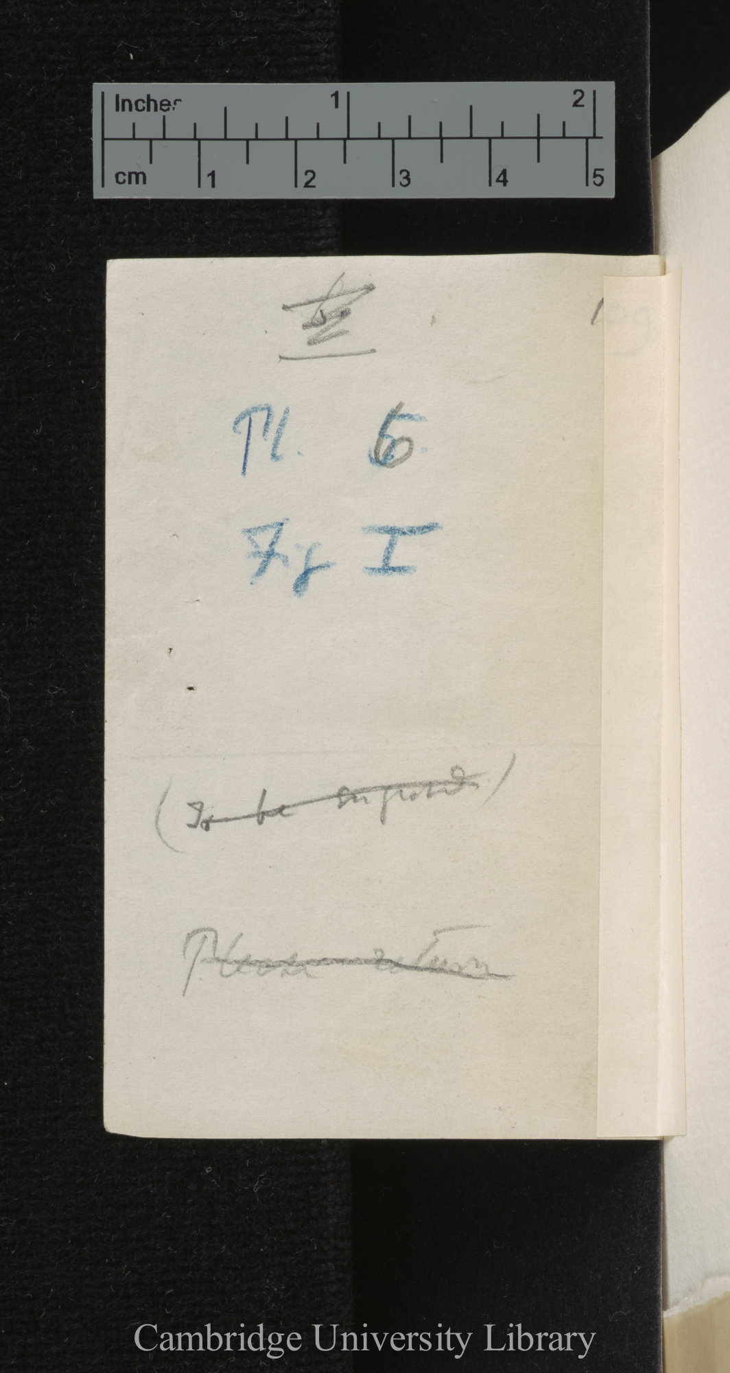 [verso of photograph]; annotated by Charles Robert Darwin