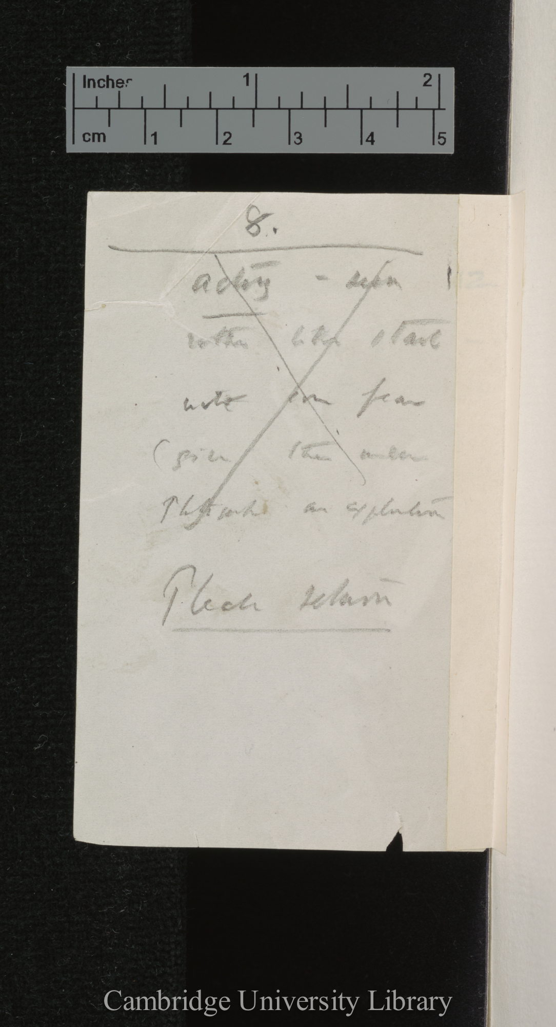 [verso of photograph]; annotated by Charles Robert Darwin