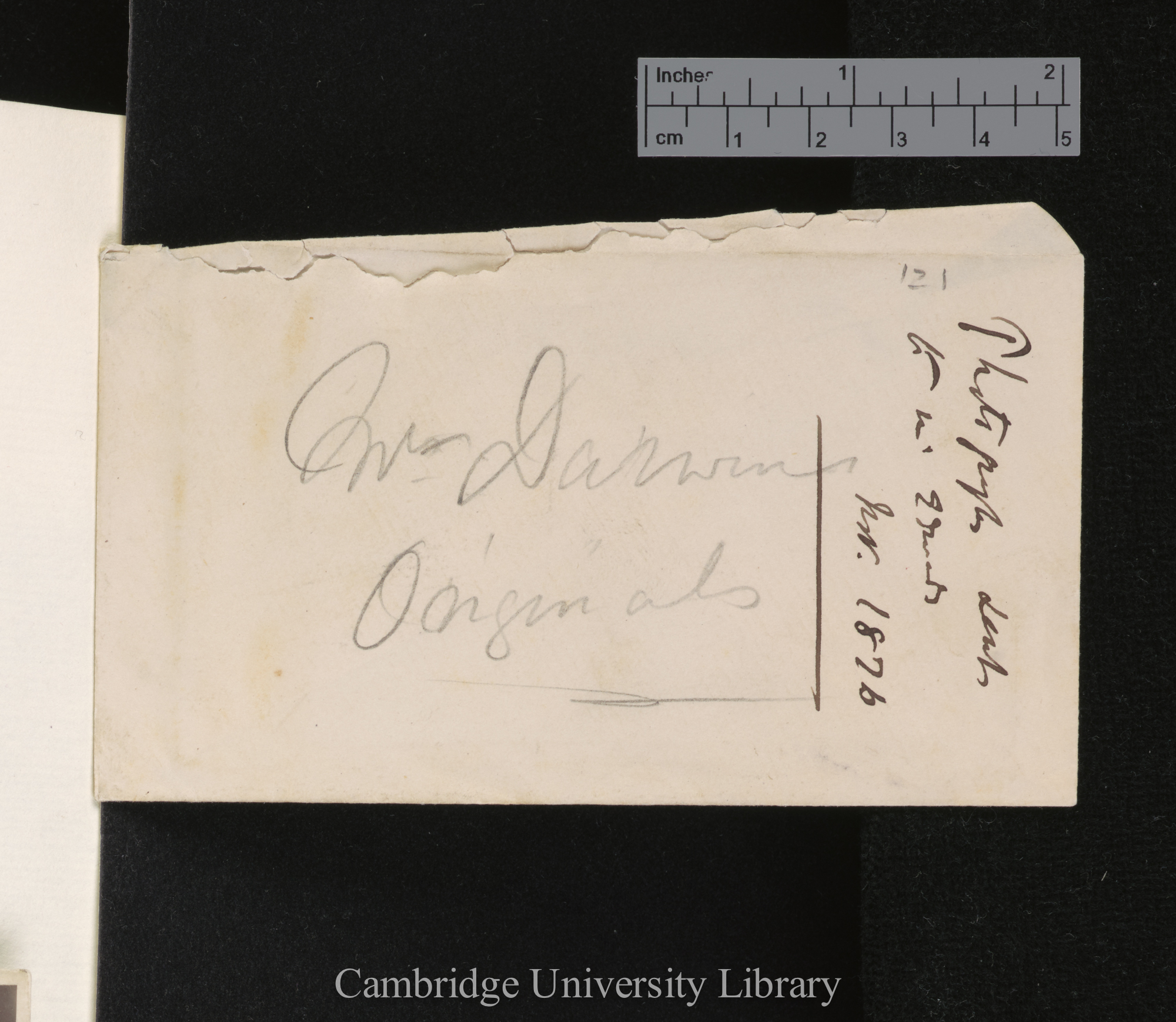 envelope once containing items DAR 53.1: C122-C127 annotated &#39;Mr Darwins Originals&#39; / &#39;Photographs sent to Mr Edwards Nov 1876&#39;