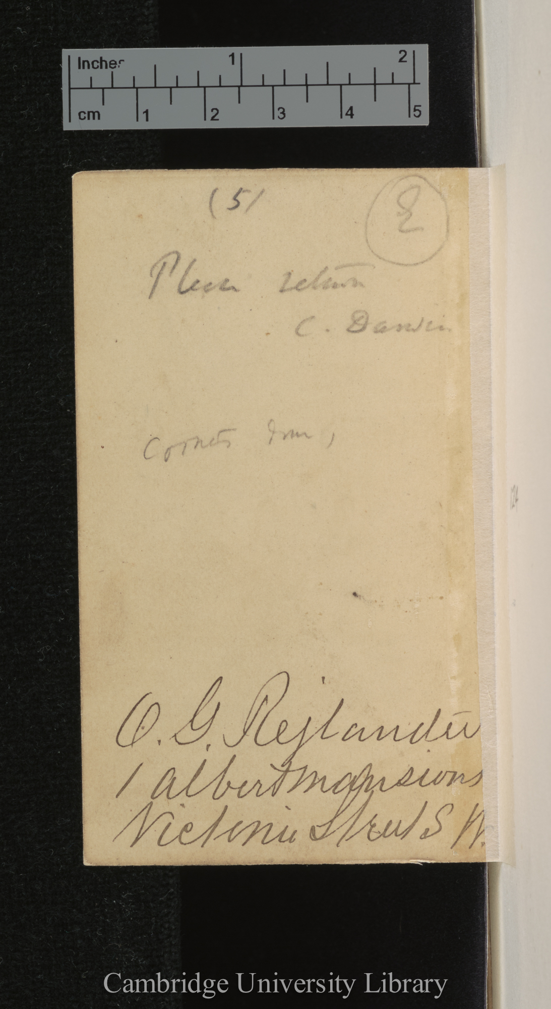 [verso of photograph - photographer signature (O G Rejlander)]; annotated by Charles Robert Darwin