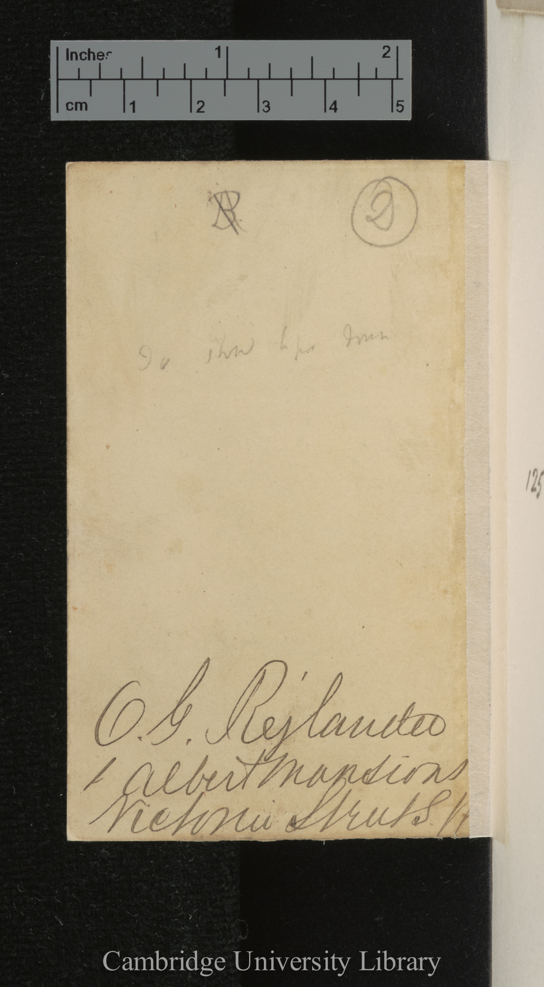 [verso of photograph - photographer signature (O G Rejlander)]; annotated by Charles Robert Darwin