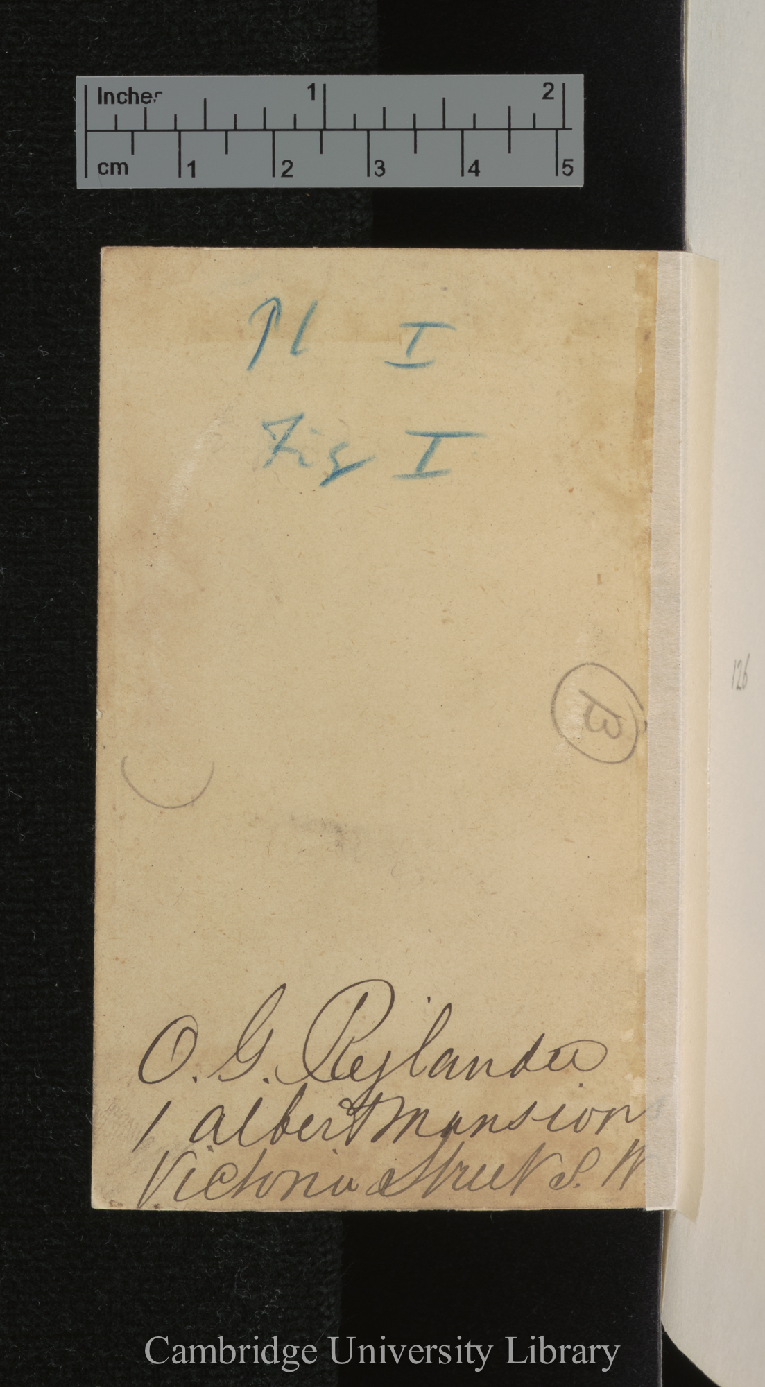 [verso of photograph - photographer signature (O G Rejlander)]; annotated by Charles Robert Darwin