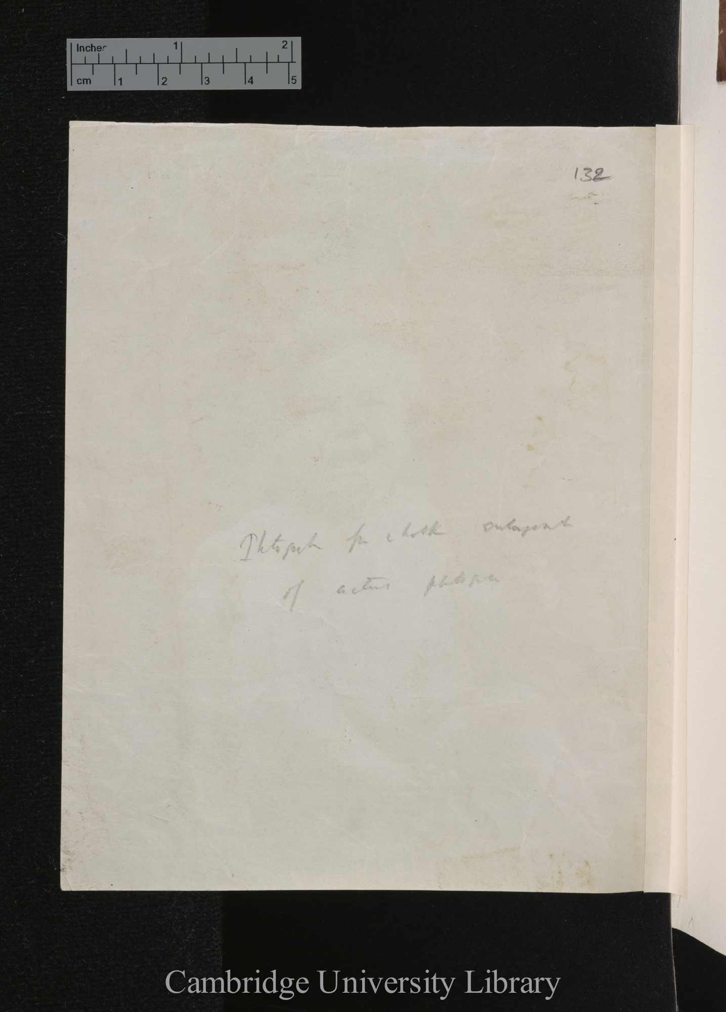 [verso of photograph]; annotated by Charles Robert Darwin