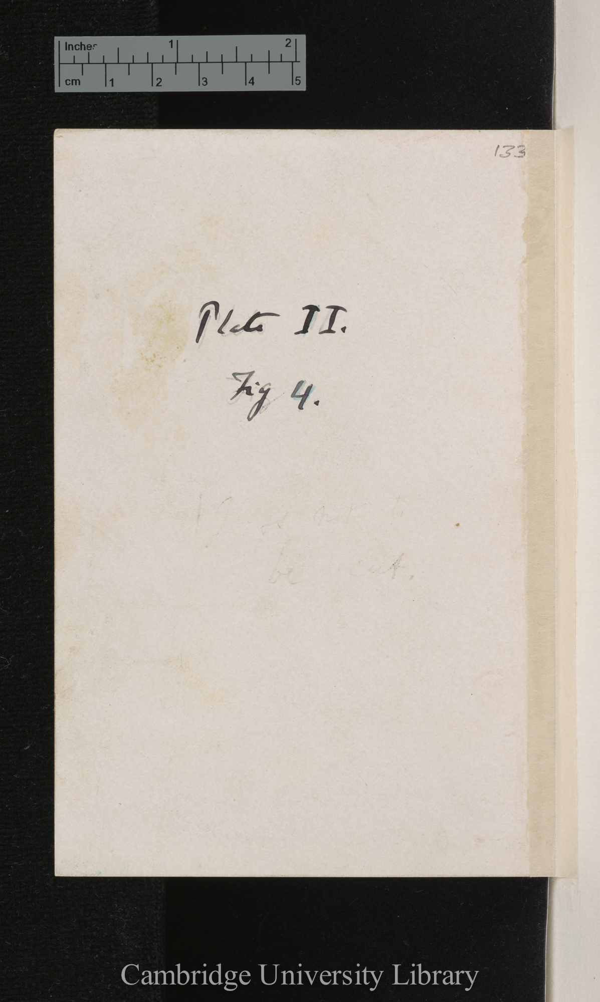 [verso of photograph]; annotated by Charles Robert Darwin