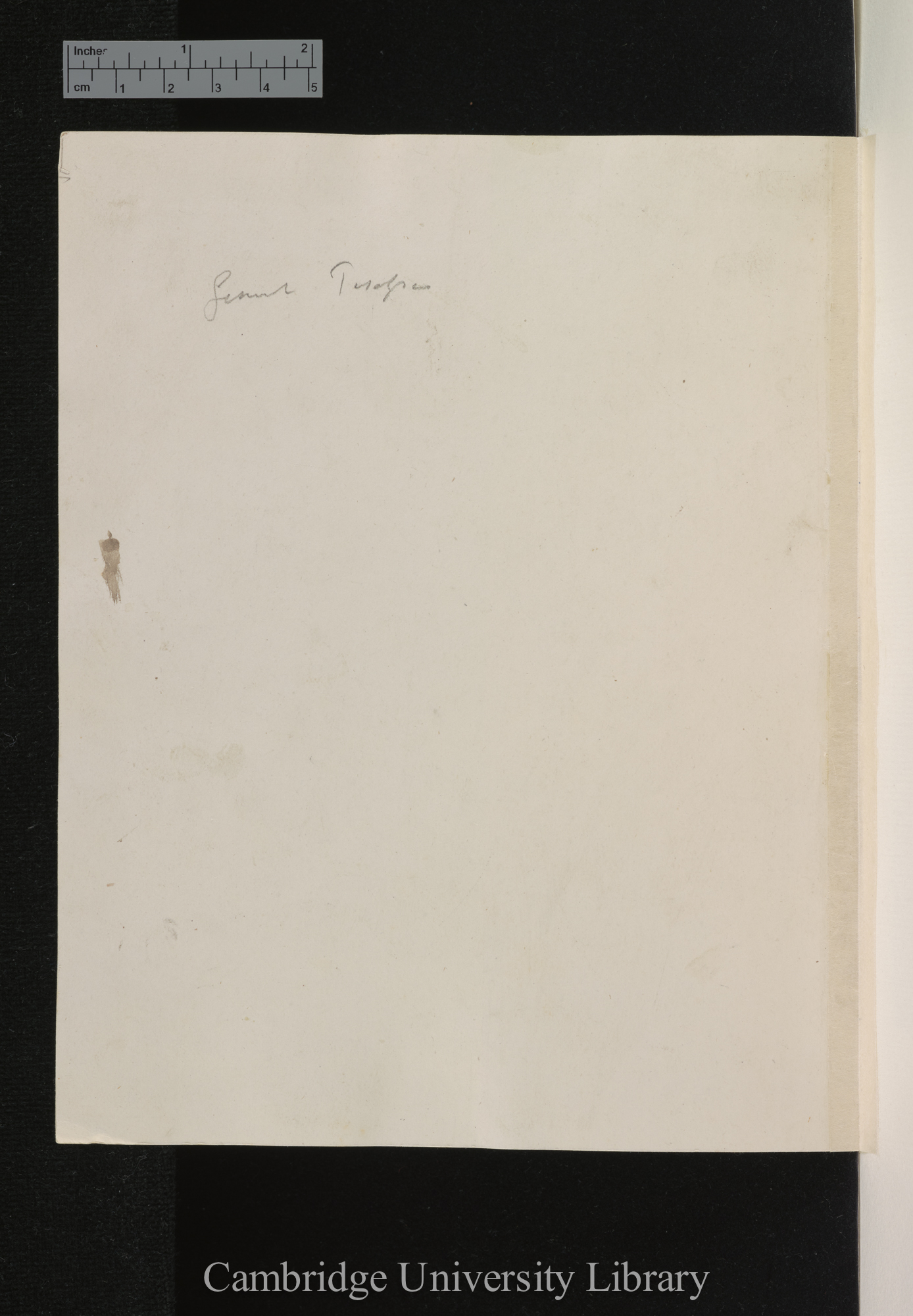 [verso of photograph]; annotated by Charles Robert Darwin