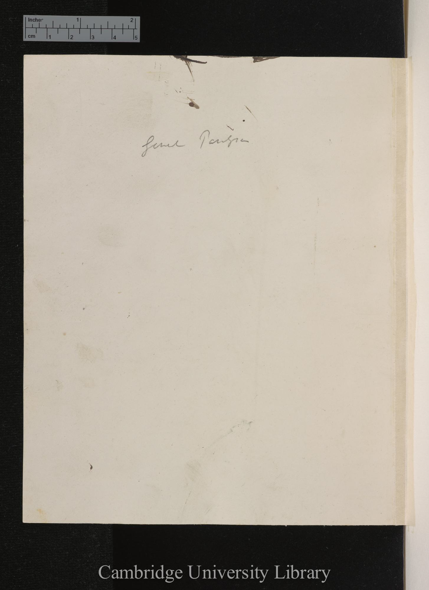 [verso of photograph]; annotated by Charles Robert Darwin