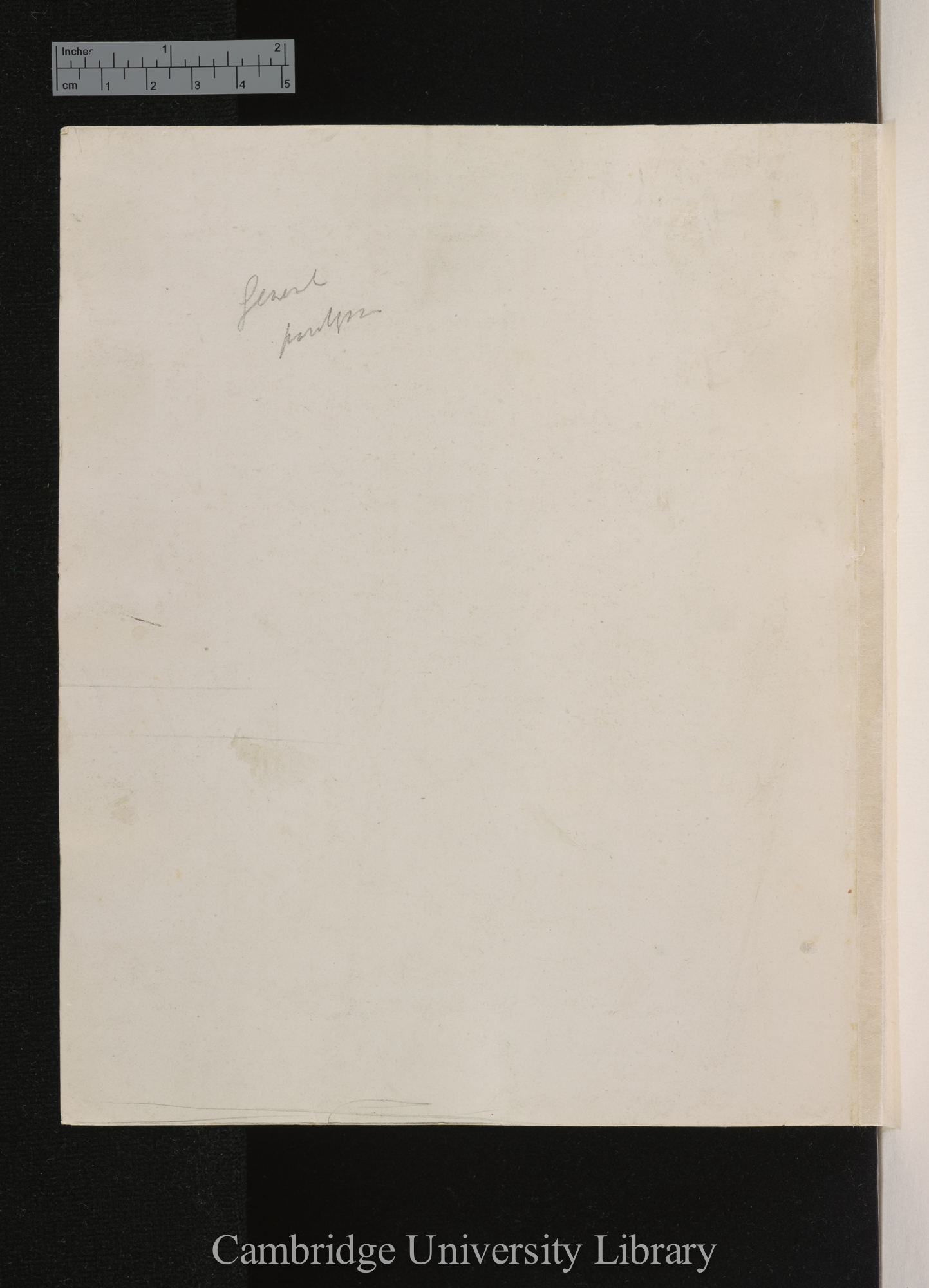 [verso of photograph]; annotated by Charles Robert Darwin