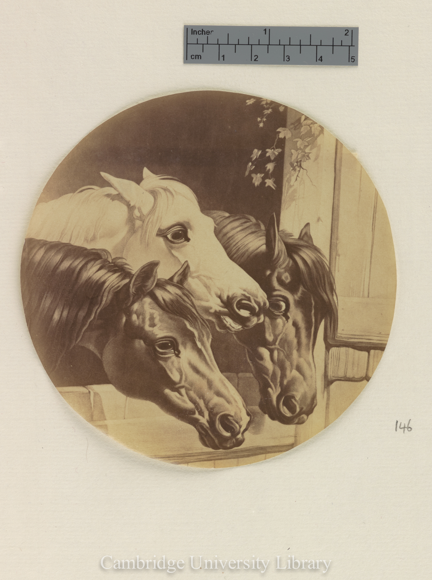 Photo of detail of horses&#39; heads from a painting