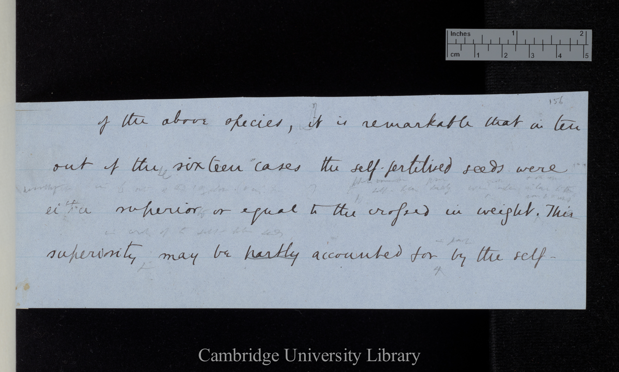 of the above species, it is remarkable that in ten out of the sixteen cases the self-fertilised seeds were either superior or equal to the crossed in weight