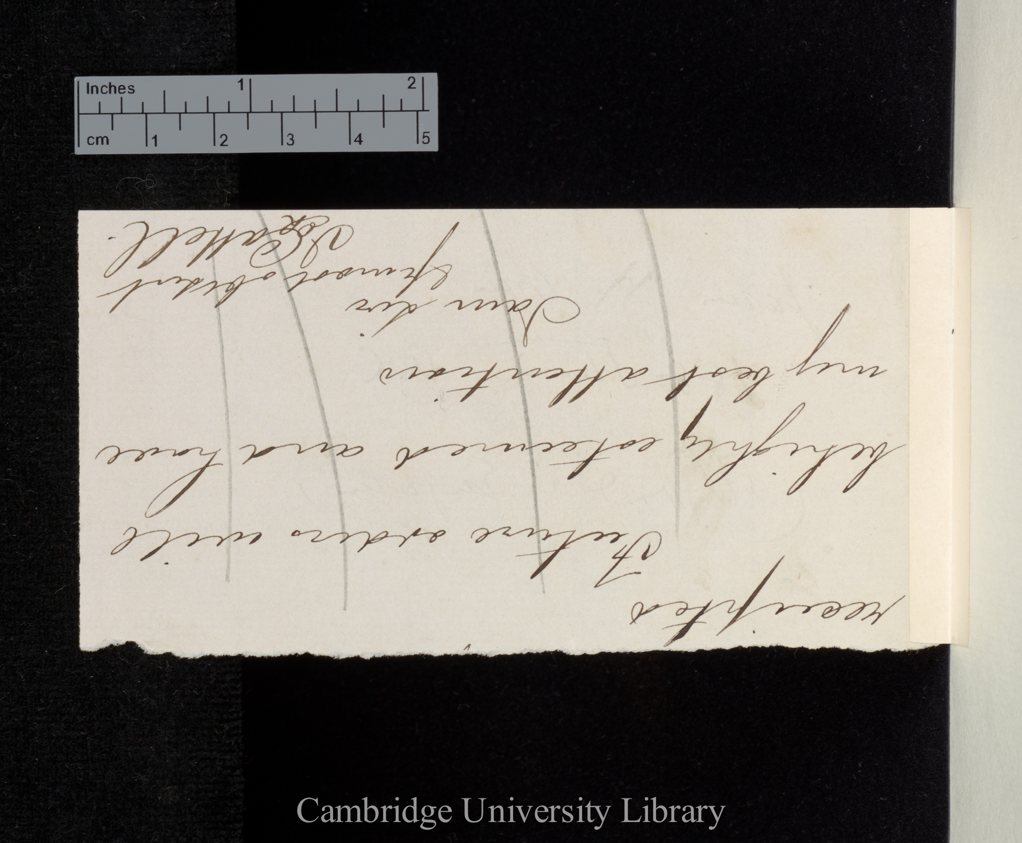 Letter from John Cattell to Charles Robert Darwin; written at [place unstated]; fragment only