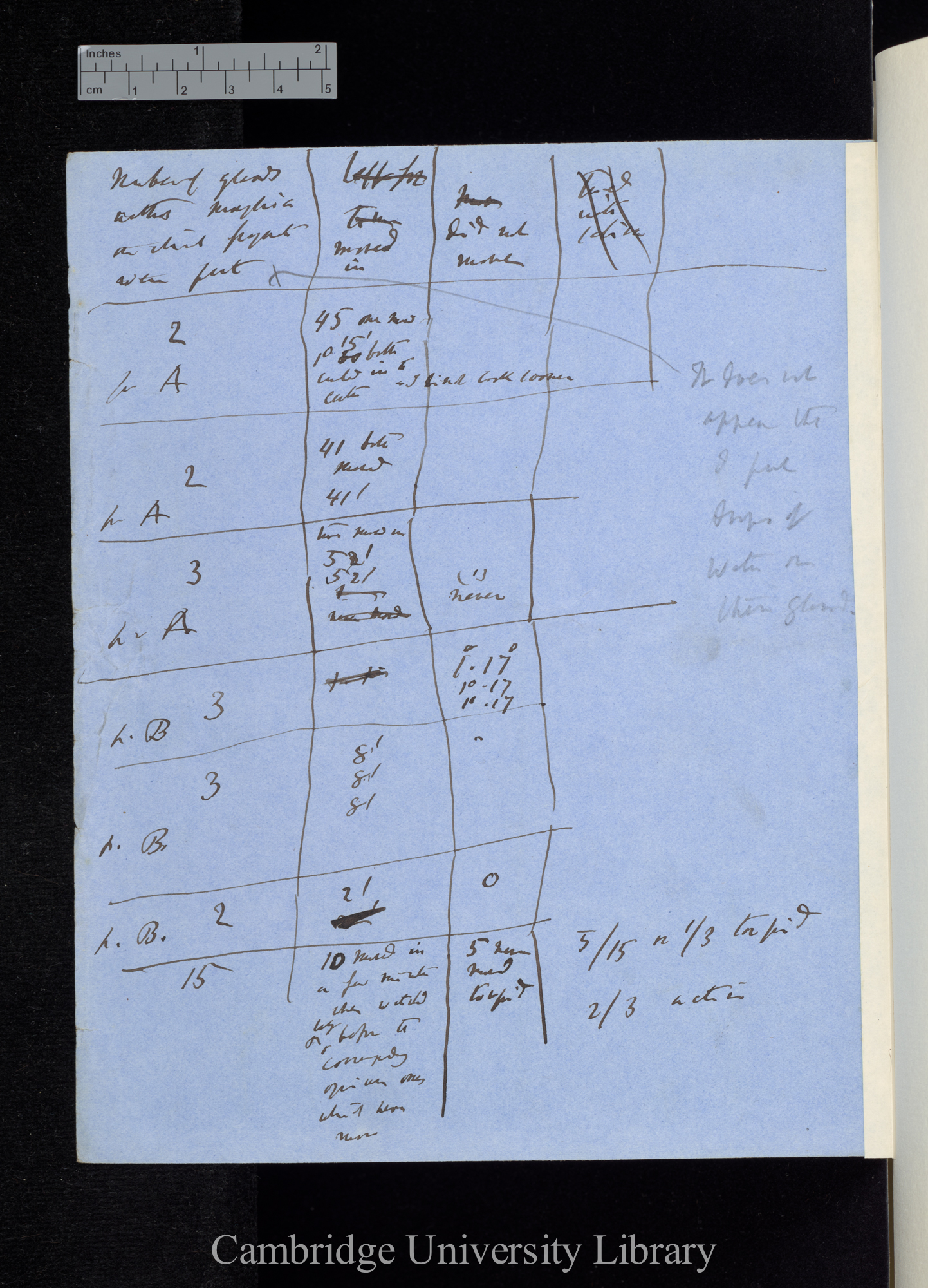 Number of glands without Morphia on which fragments were put / moved in / did not move [table of experimental conditions]