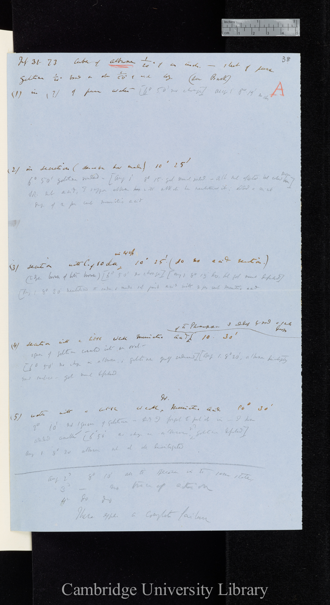 Cubes of albumen 1/20 of an inch - sheet of pure gelatine 1/20 broad &amp; above 1/50 of inch long [application of carbonate of sodium, muriatic acid, heat] / These exper[iments] a complete failure