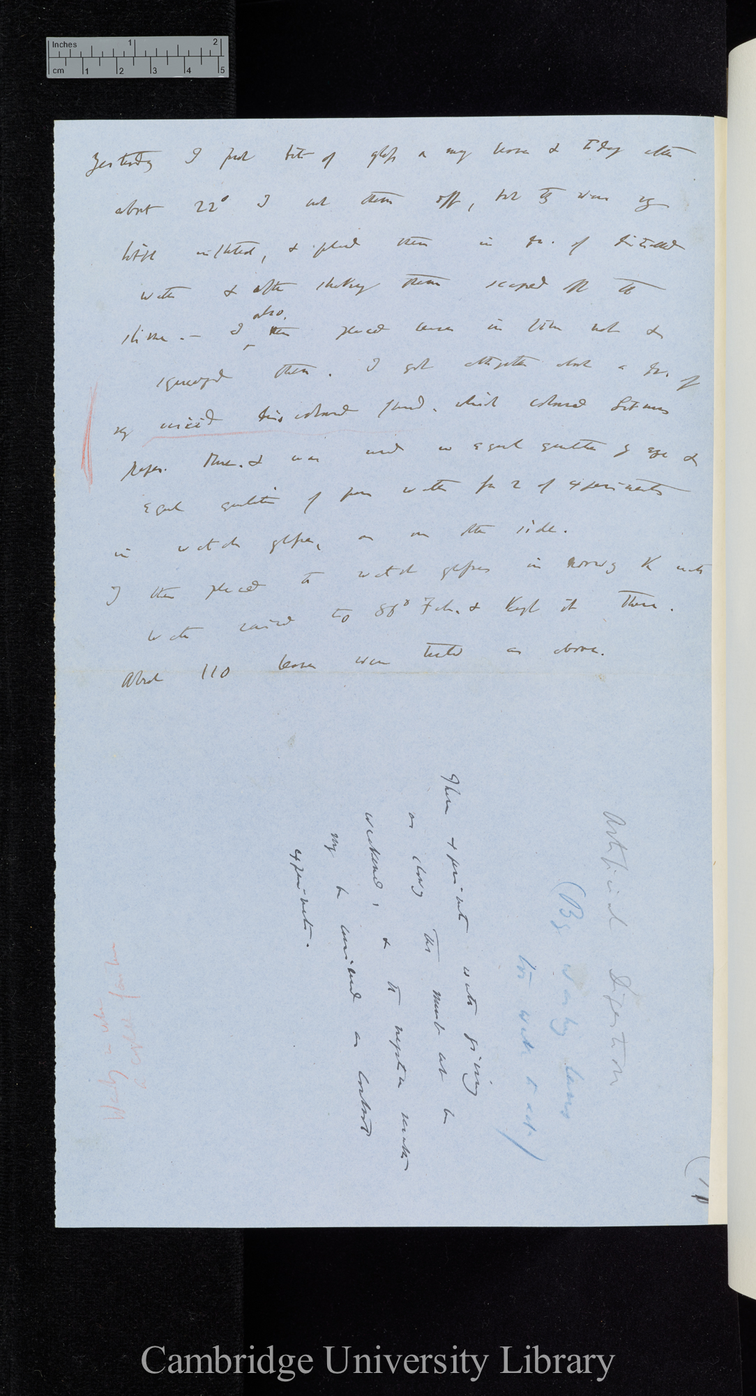 Cubes of albumen 1/20 of an inch - sheet of pure gelatine 1/20 broad &amp; above 1/50 of inch long [application of carbonate of sodium, muriatic acid, heat] / These exper[iments] a complete failure