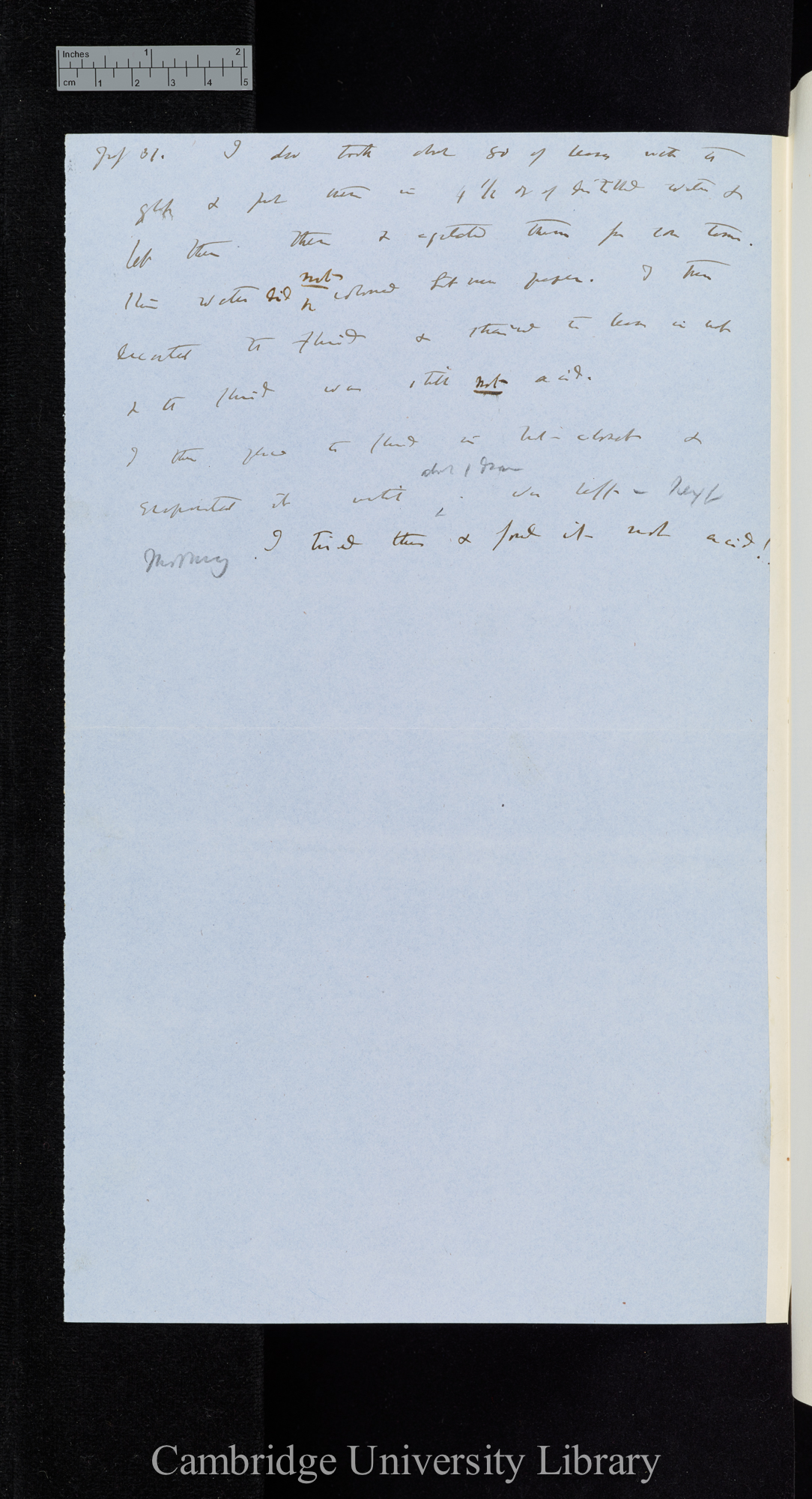 Cubes of albumen 1/20 of an inch - sheet of pure gelatine 1/20 broad &amp; above 1/50 of inch long [application of carbonate of sodium, muriatic acid, heat] / These exper[iments] a complete failure